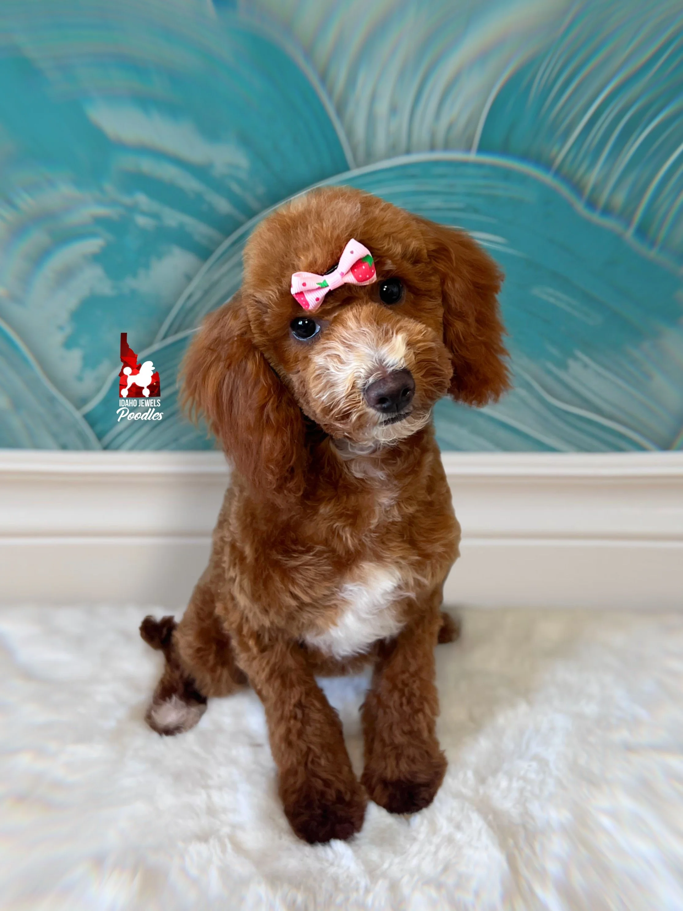 Florence - 20 wks.jpg