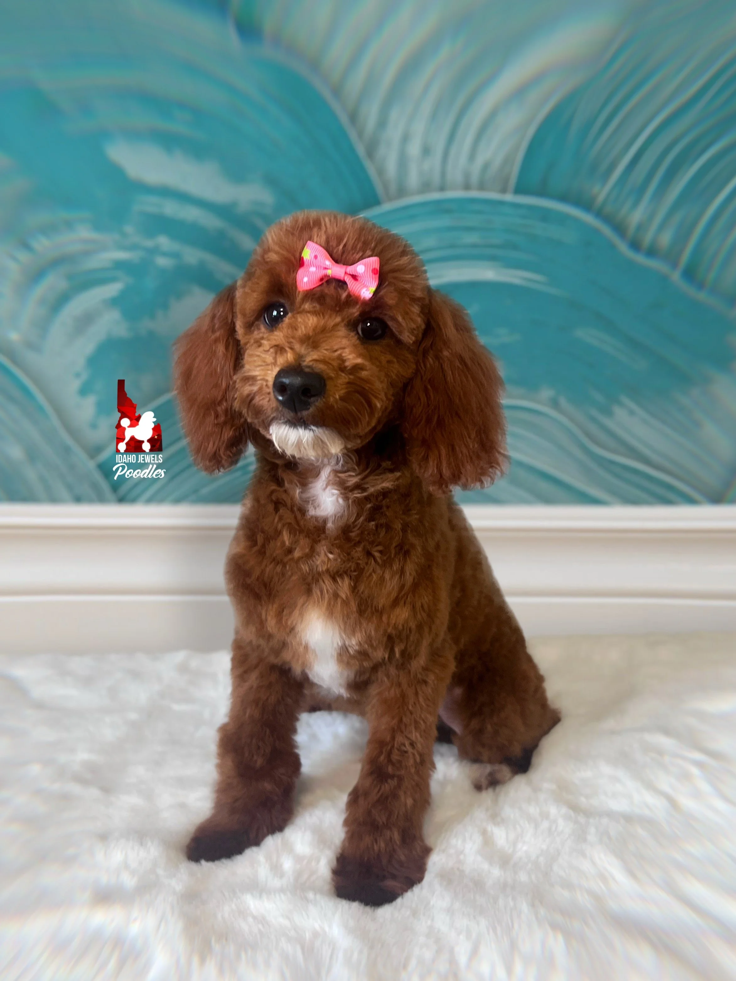 Malibu - 20 wks.jpg