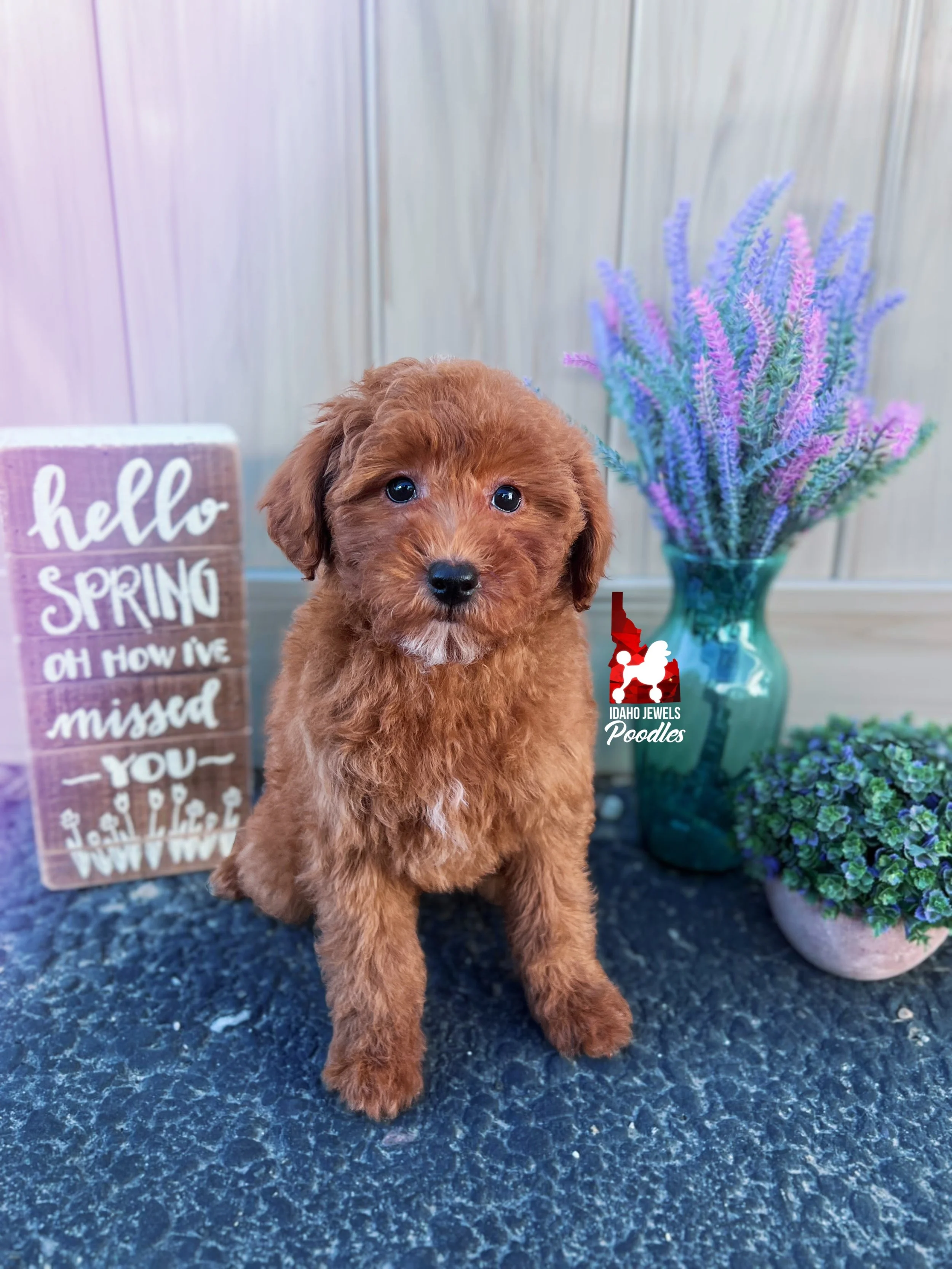Tally - 10 wks.jpg