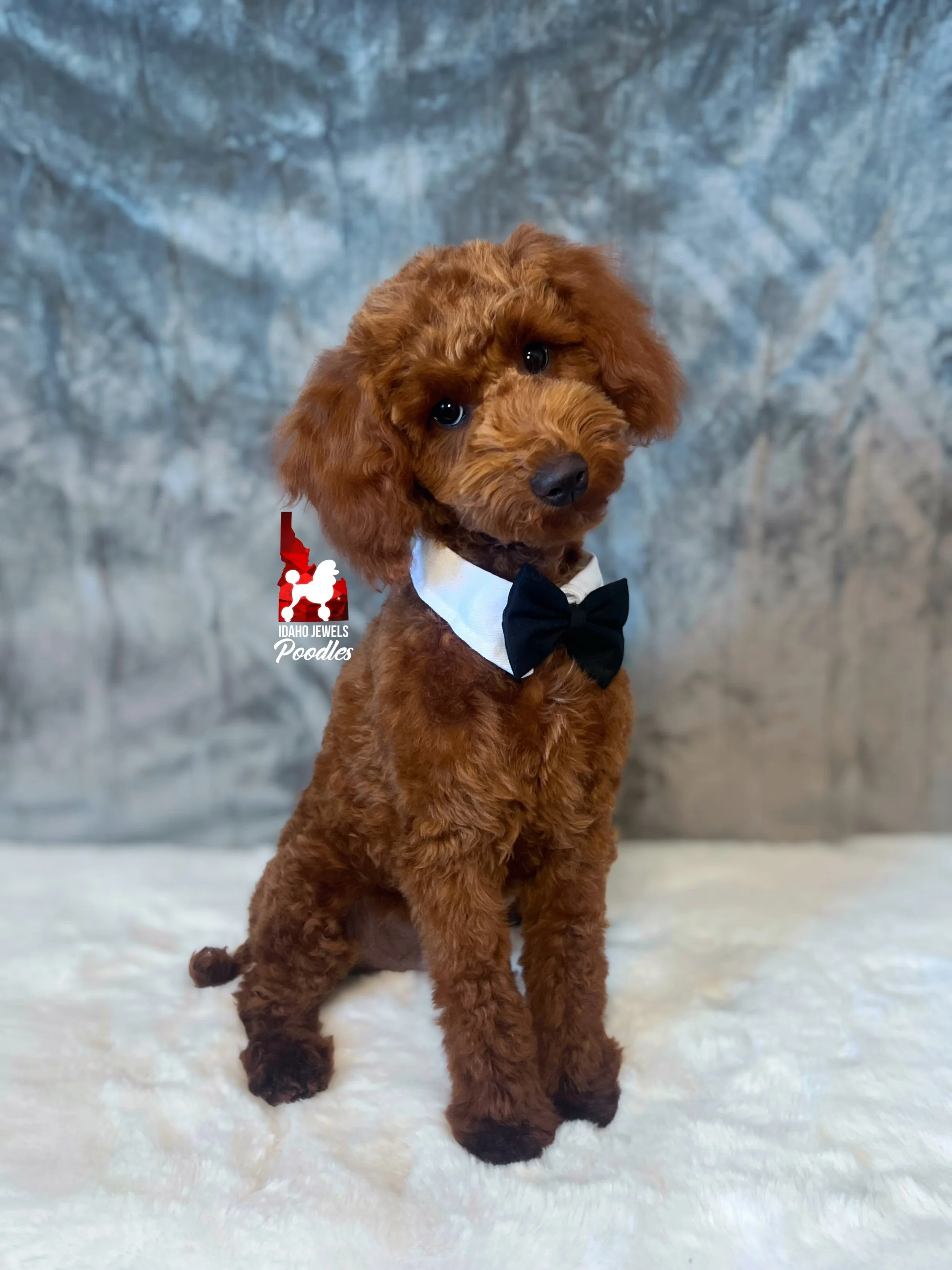 Graham - 20 wks-2.jpg