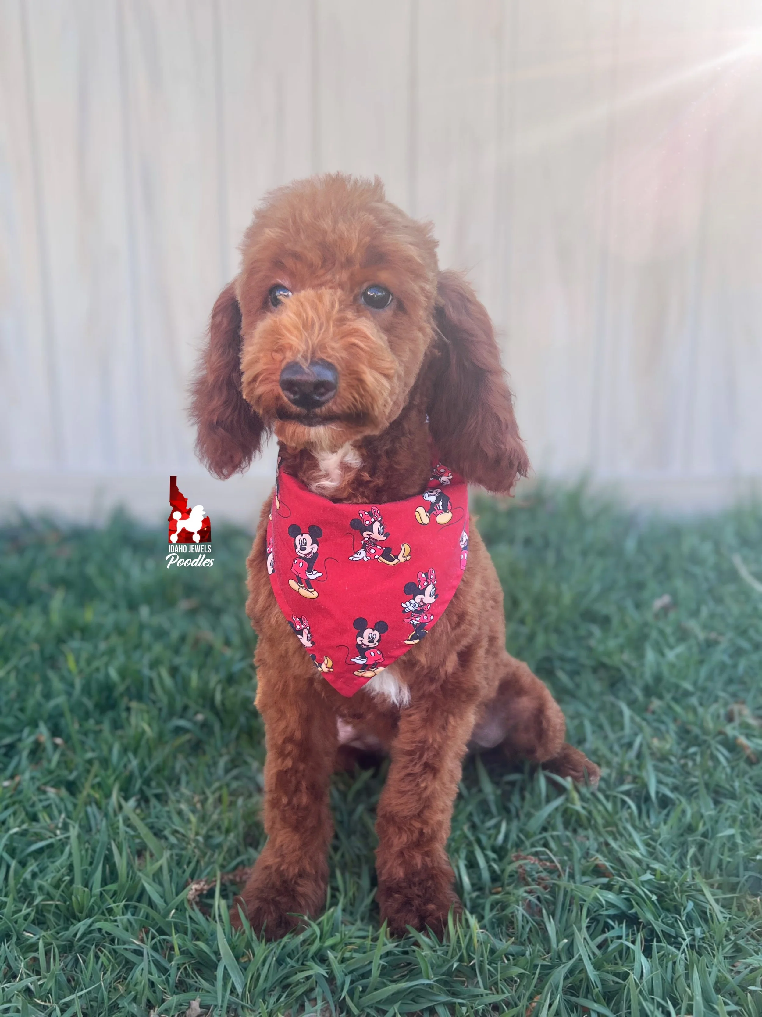 Oakley - 20 wks-1.jpg