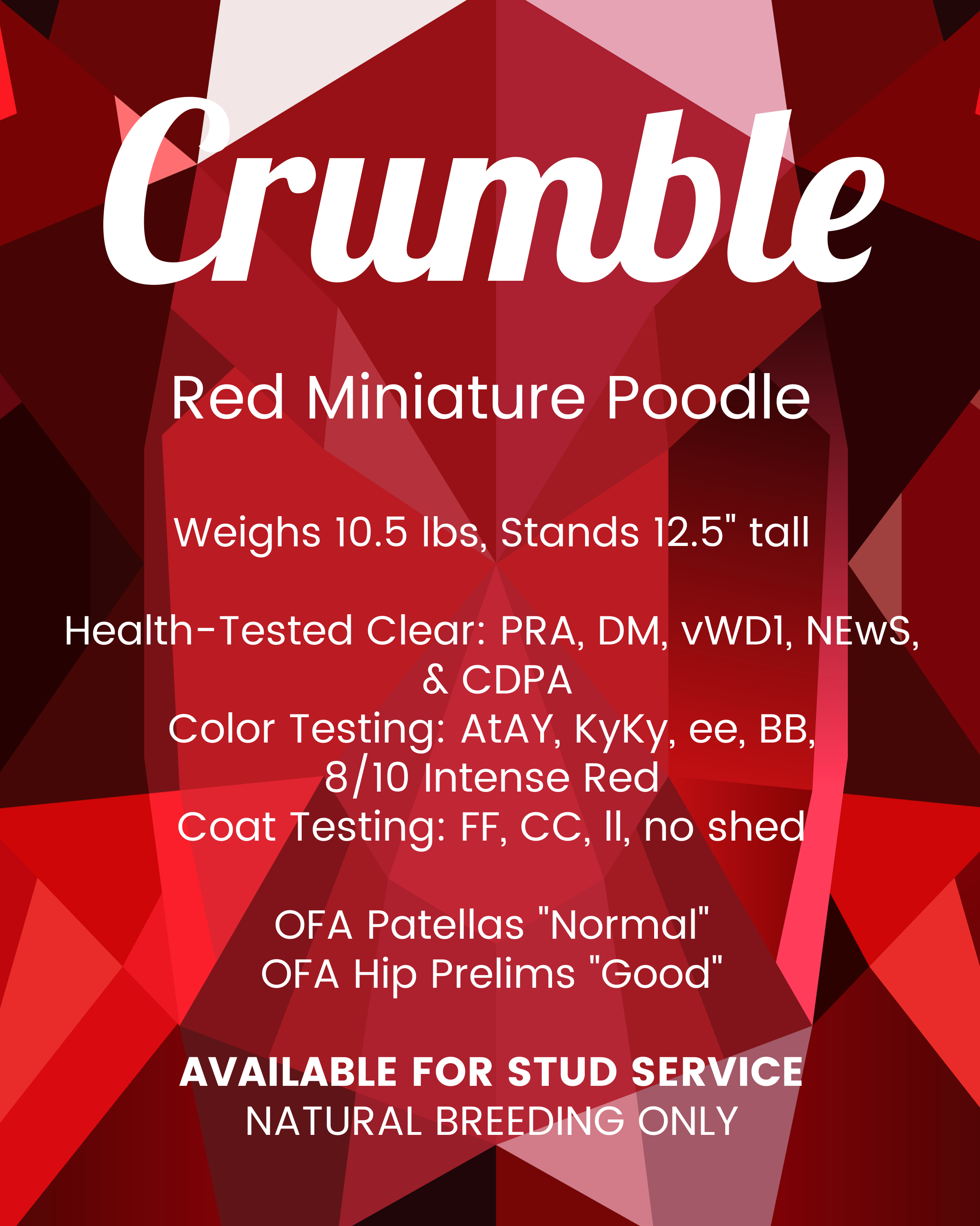 Crumble info 2026.png
