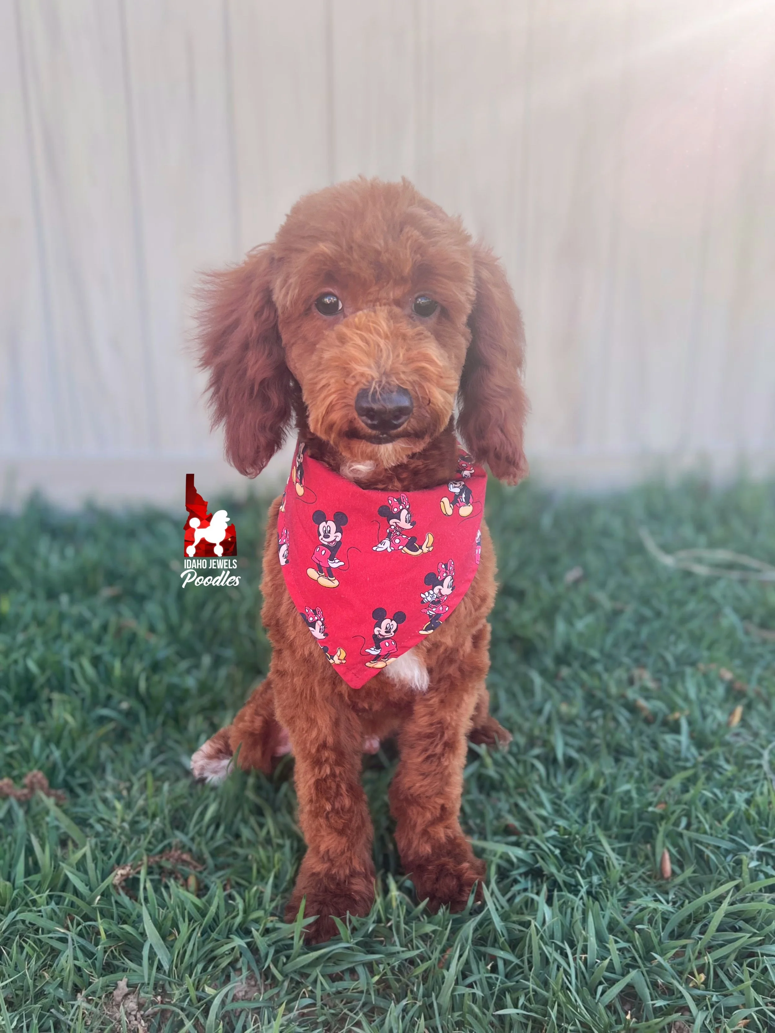 Oakley - 20 wks-2.jpg