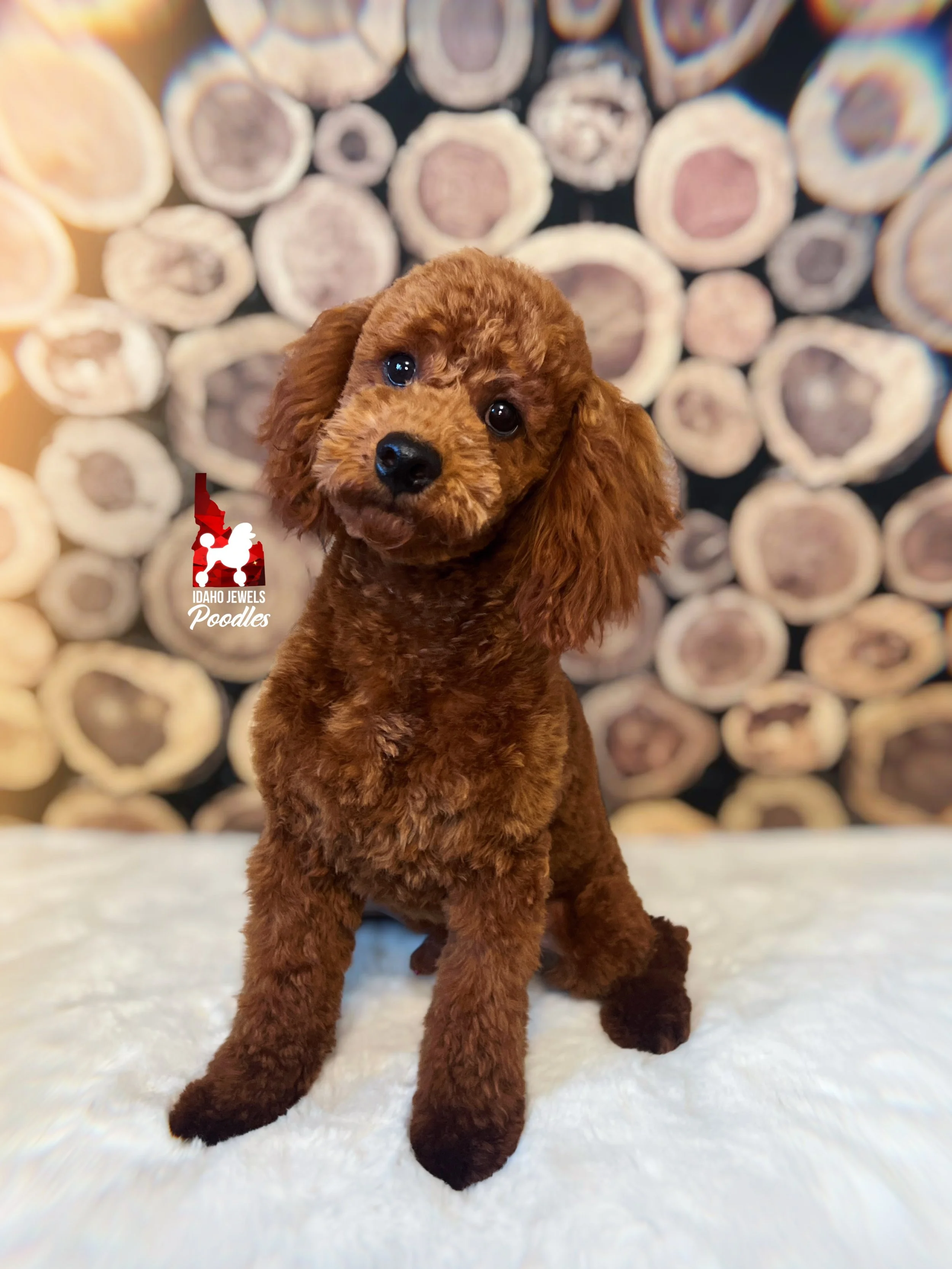 Mario - 28 wks-2.jpg