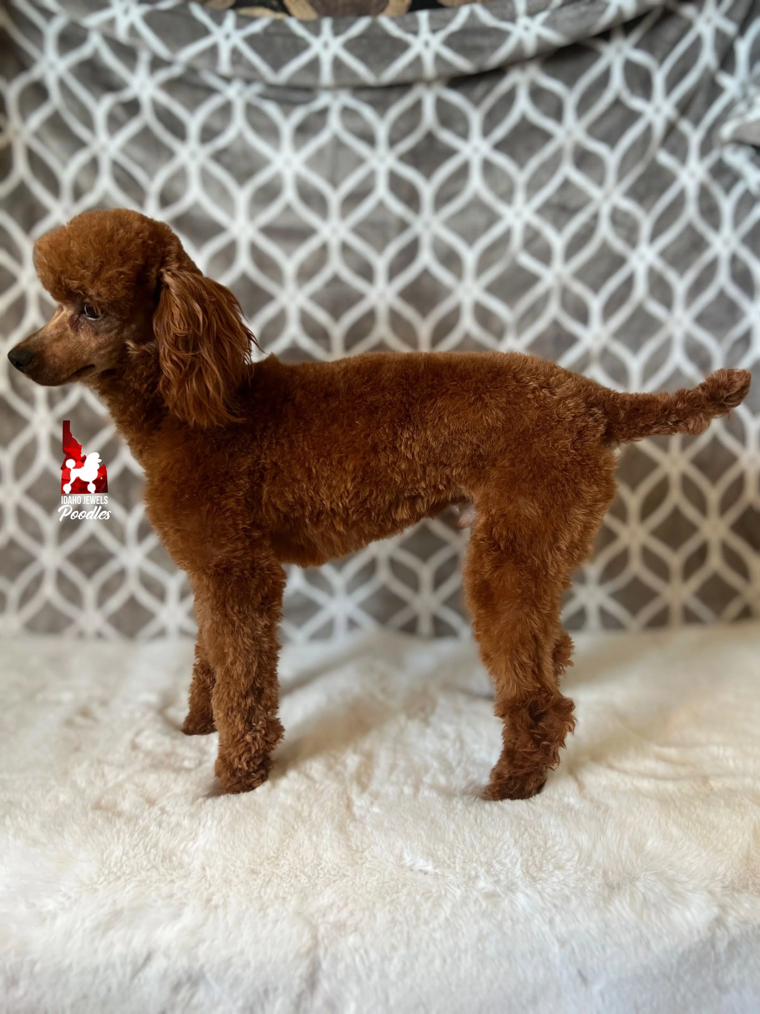 Crumble side shot (shaved) (2).jpeg