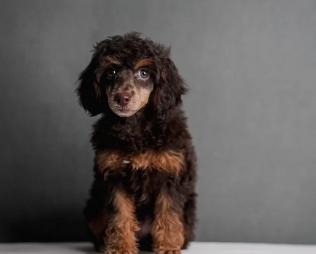 Moira Snickers F23 Merit.jpg