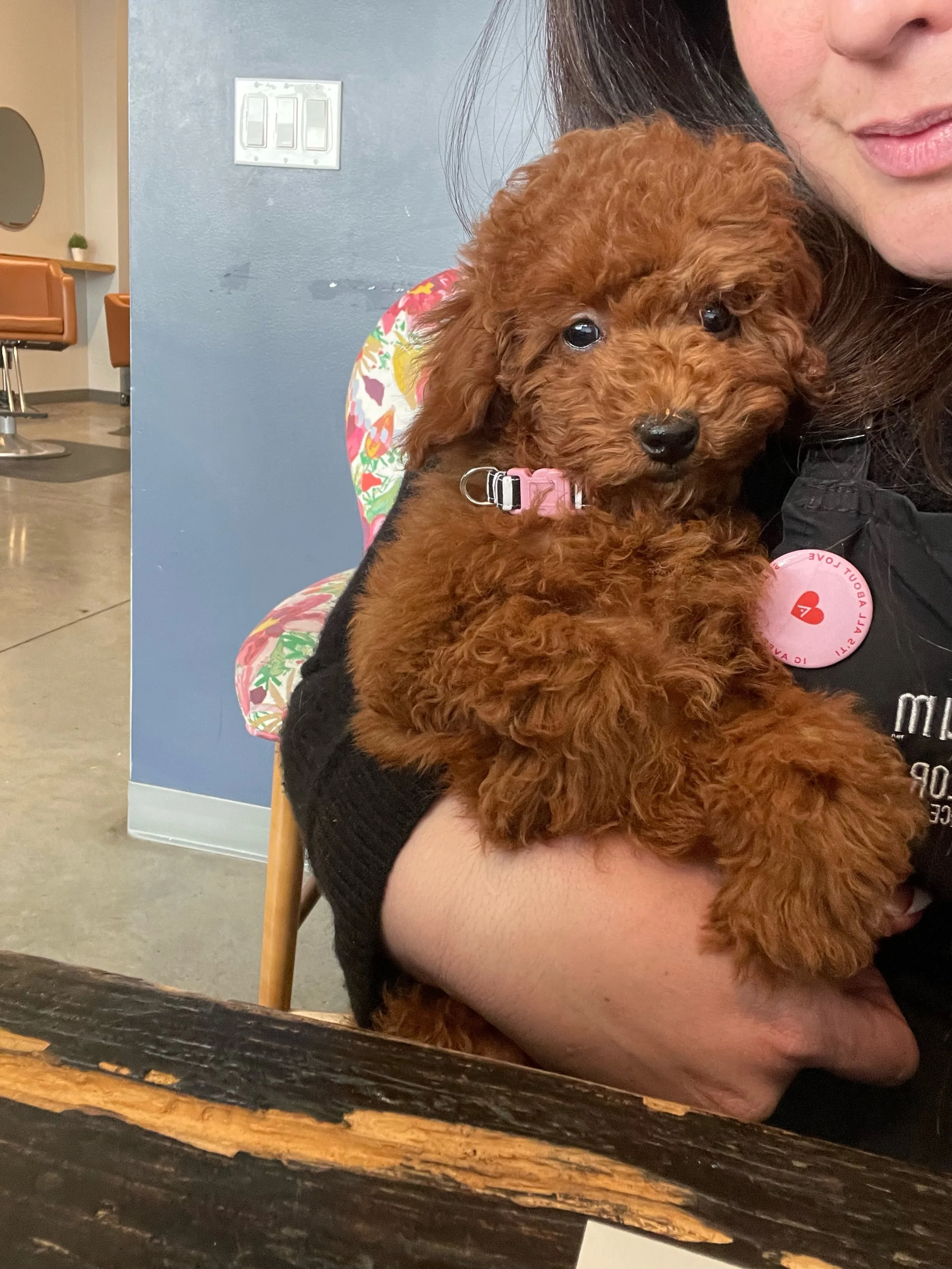 Cheyenne.Dodger F21 Atlanta now owned by Adrian Diaz (1).jpeg