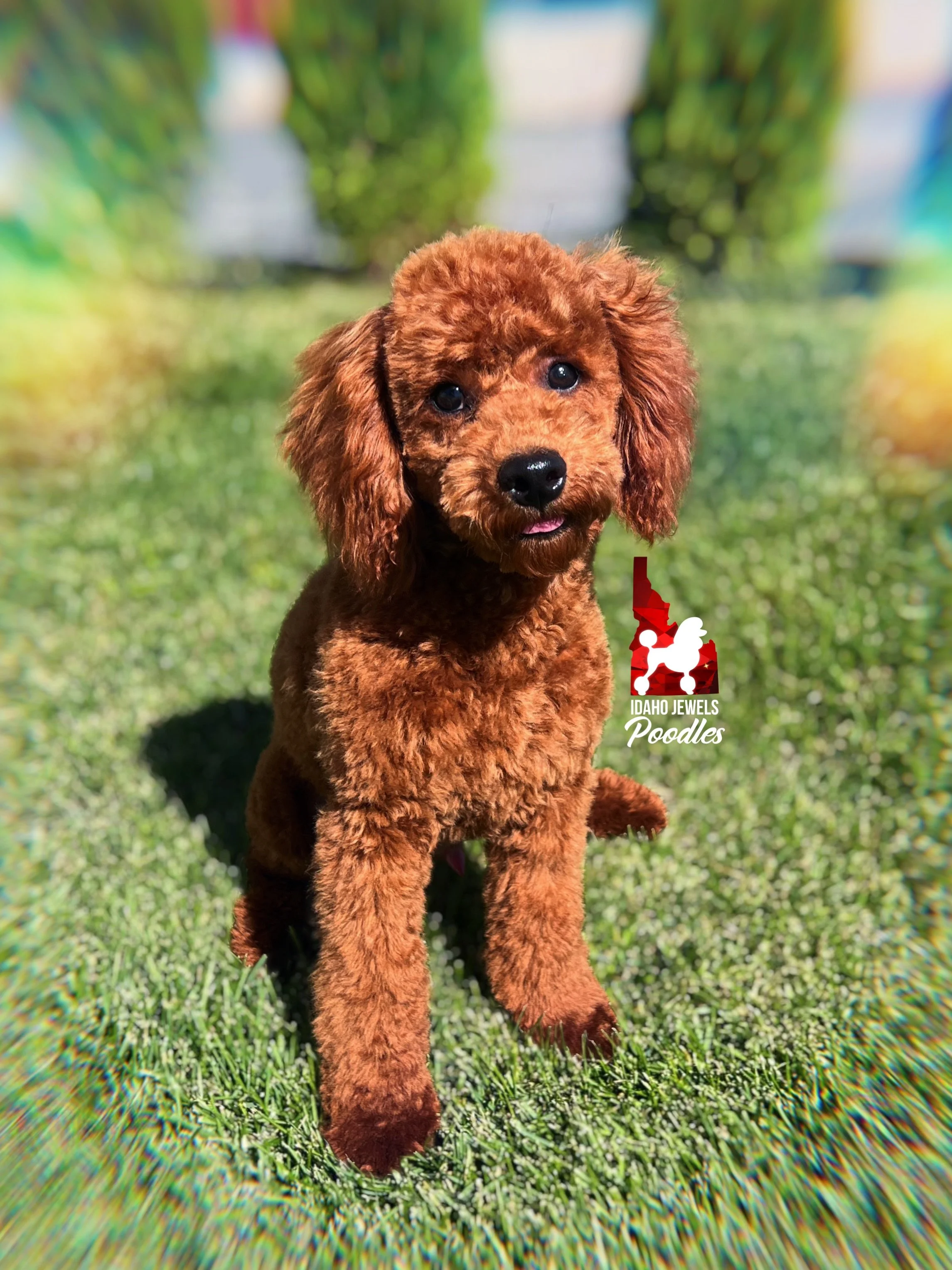 Mario - 28 wks-1.jpg