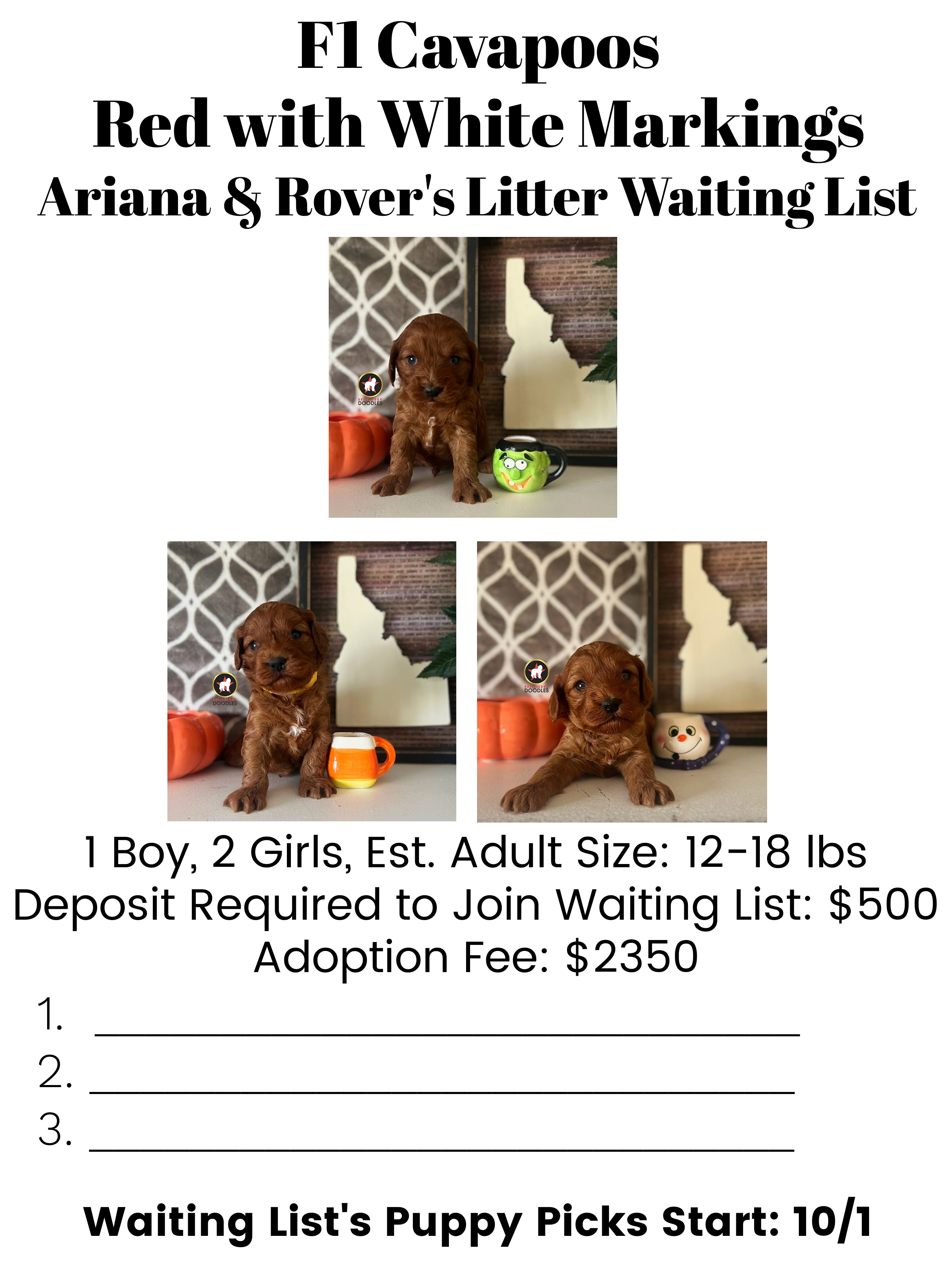 Ariana upcoming litter waiting list (1).png