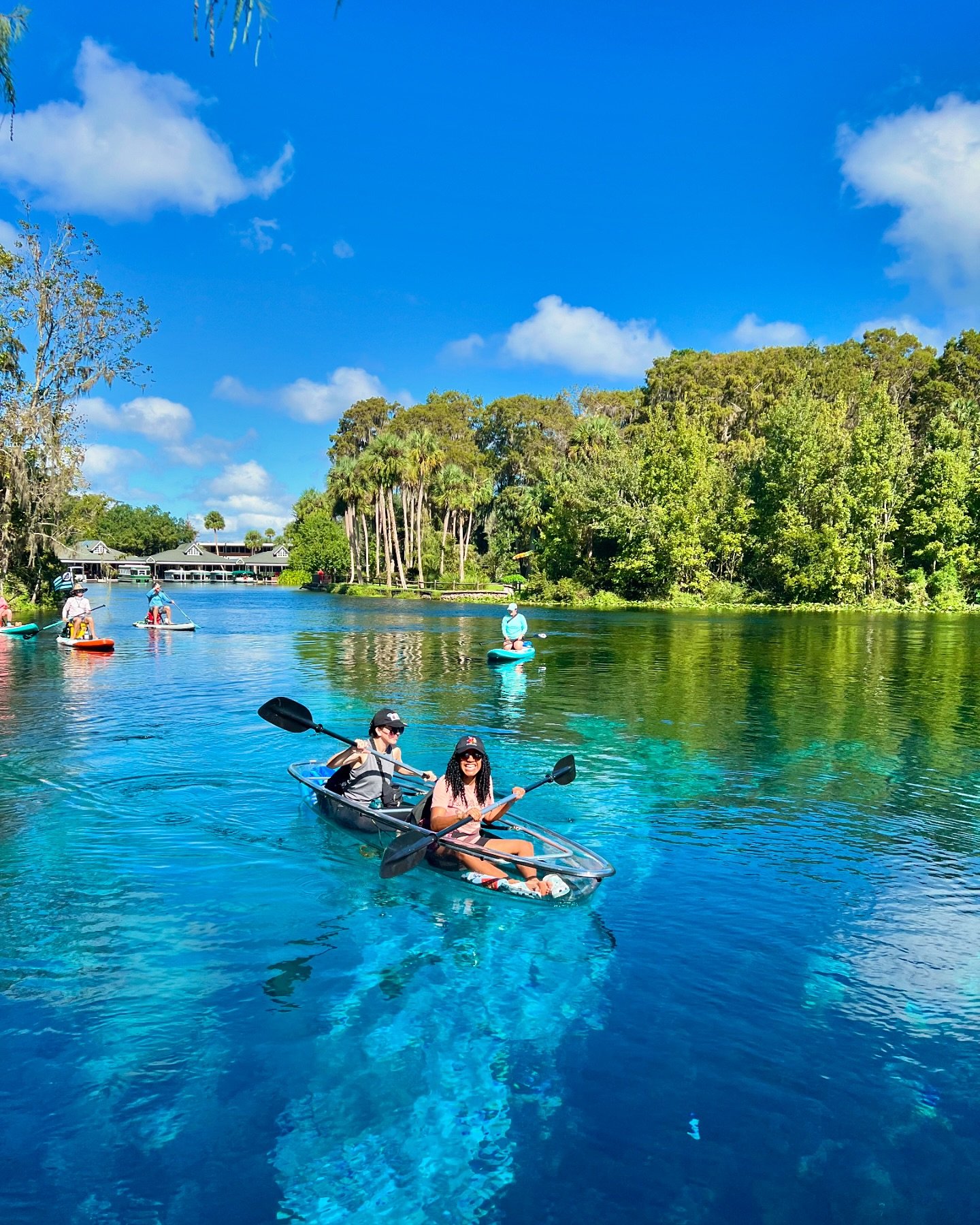 The weather has been absolutely beautiful lately ☀️💎 We just added some new tour times for manatee season this winter!
&bull;
&bull;
&bull;
📍Silver Springs State Park
🛶 Clear Kayaking Wildlife Tour 
#visibilityforever #clearkayaking #manatee #wild