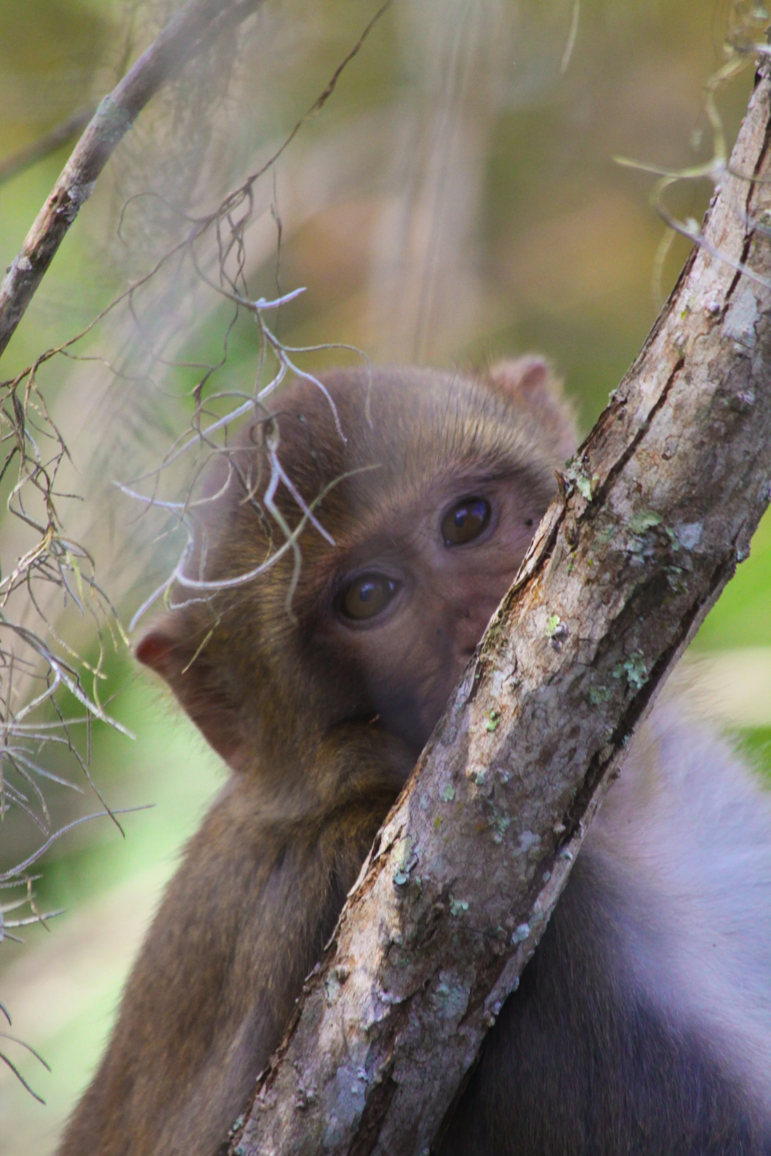 Photo Jan 26 2024, 23 15 16.jpg