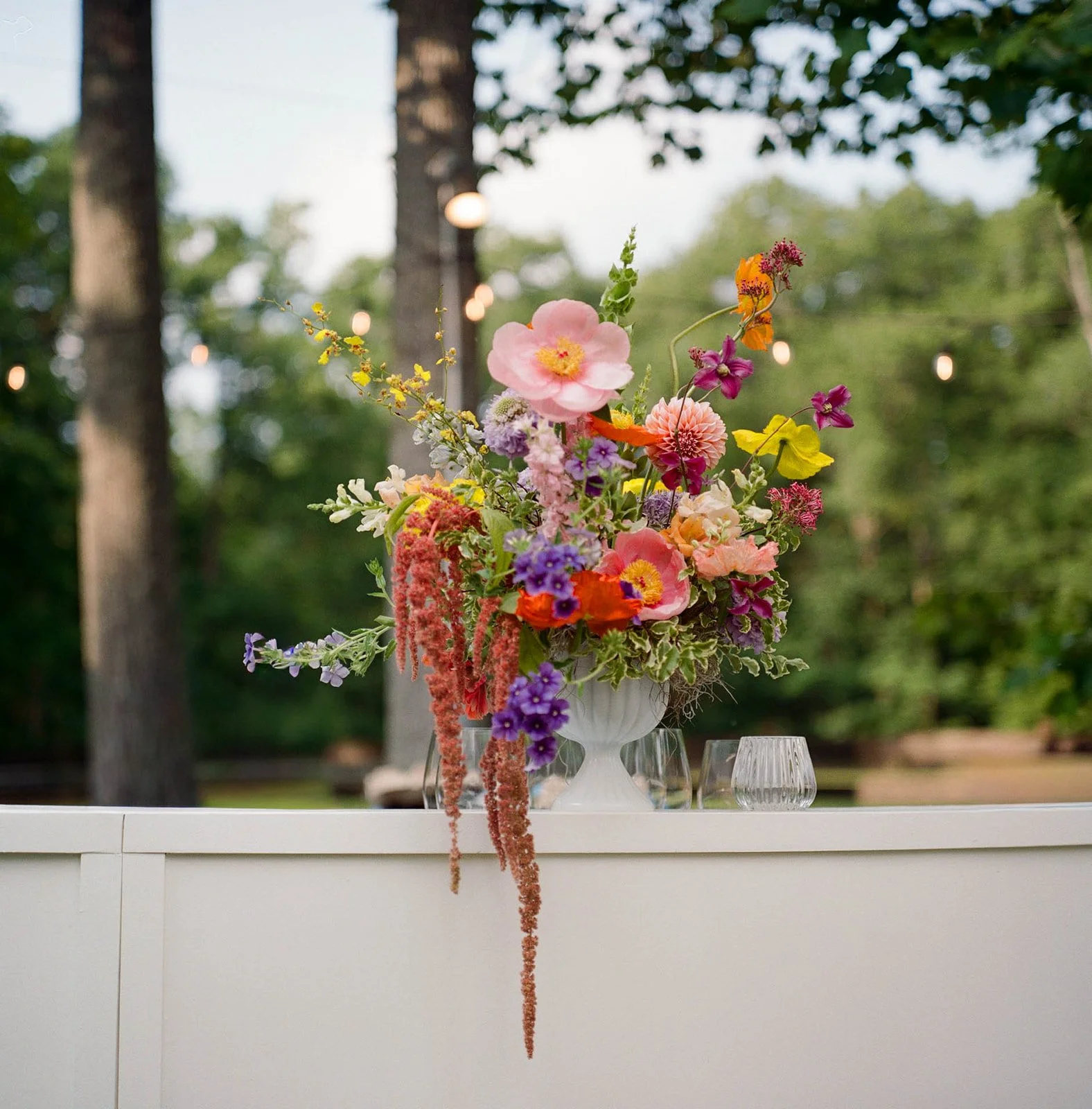 Lillie & Ellie 345.jpg