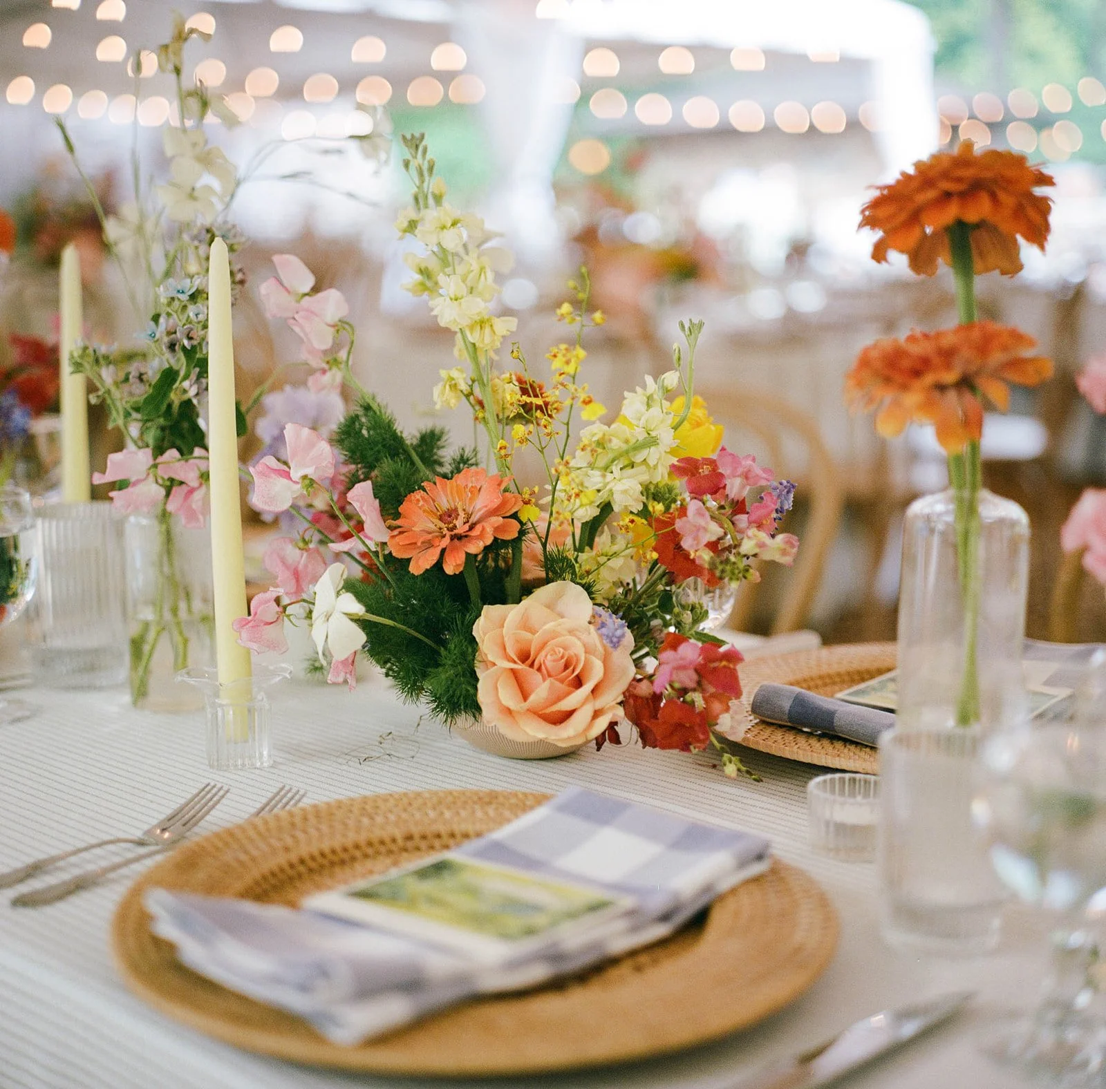 Lillie & Ellie 367.jpg