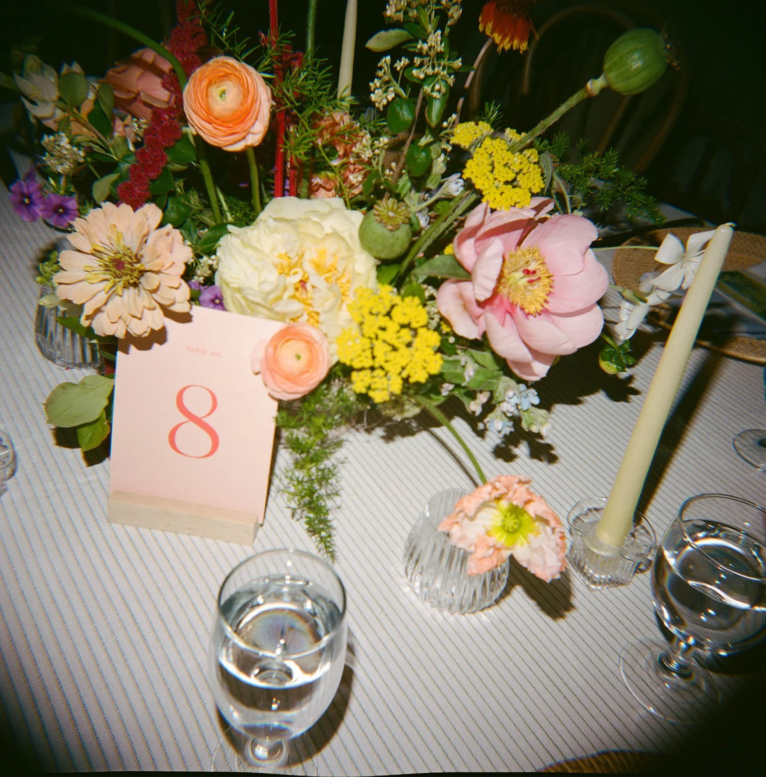 Lillie & Ellie 347.jpg