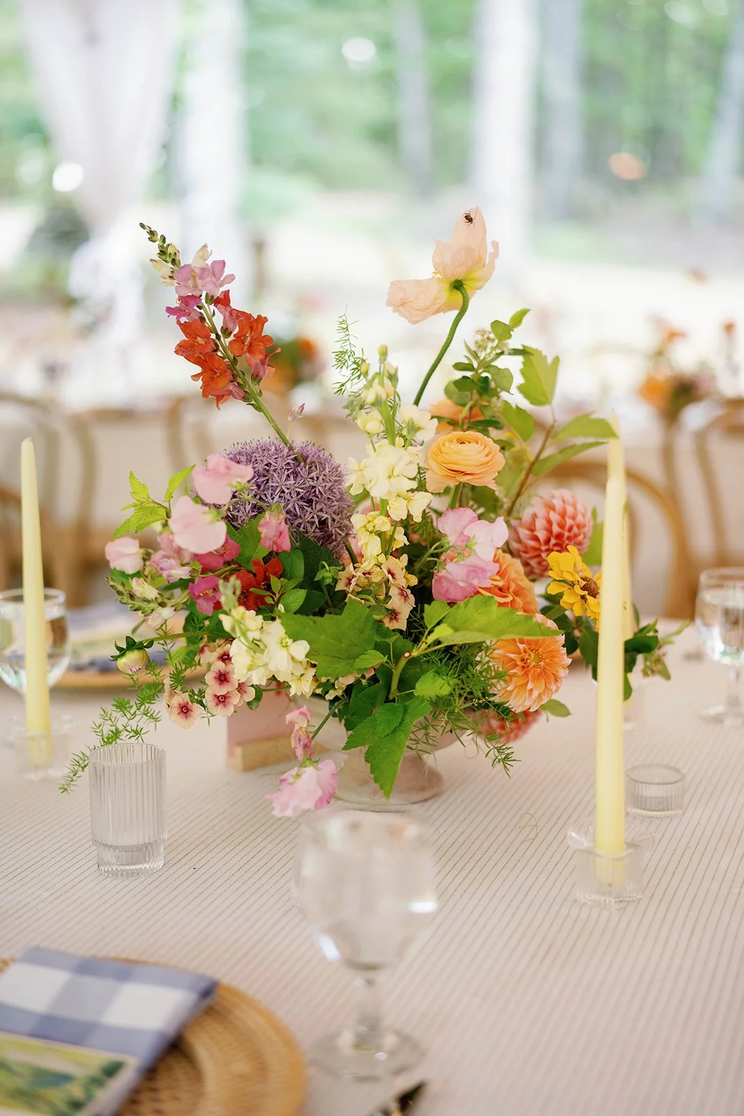 Lillie & Ellie 358.jpg