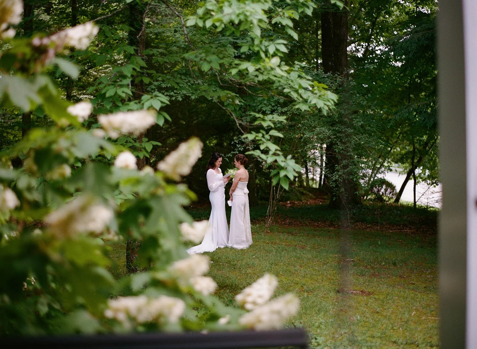 Lillie & Ellie 241.jpg