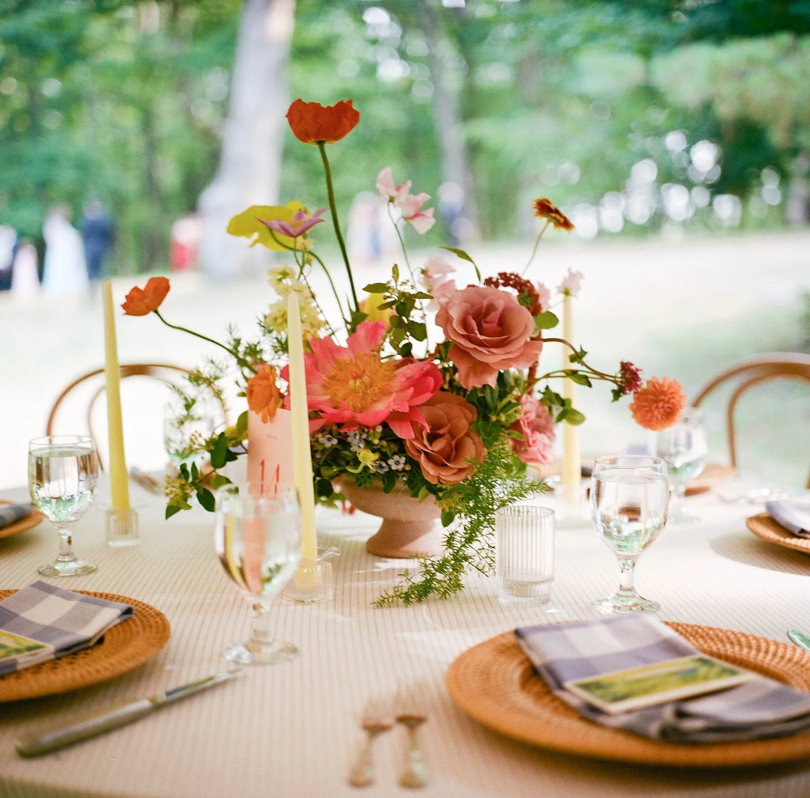 Lillie & Ellie 375.jpg