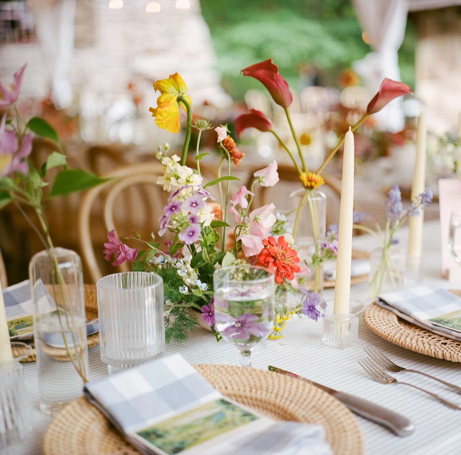 a vibrant french picnic for Ellie + lillie