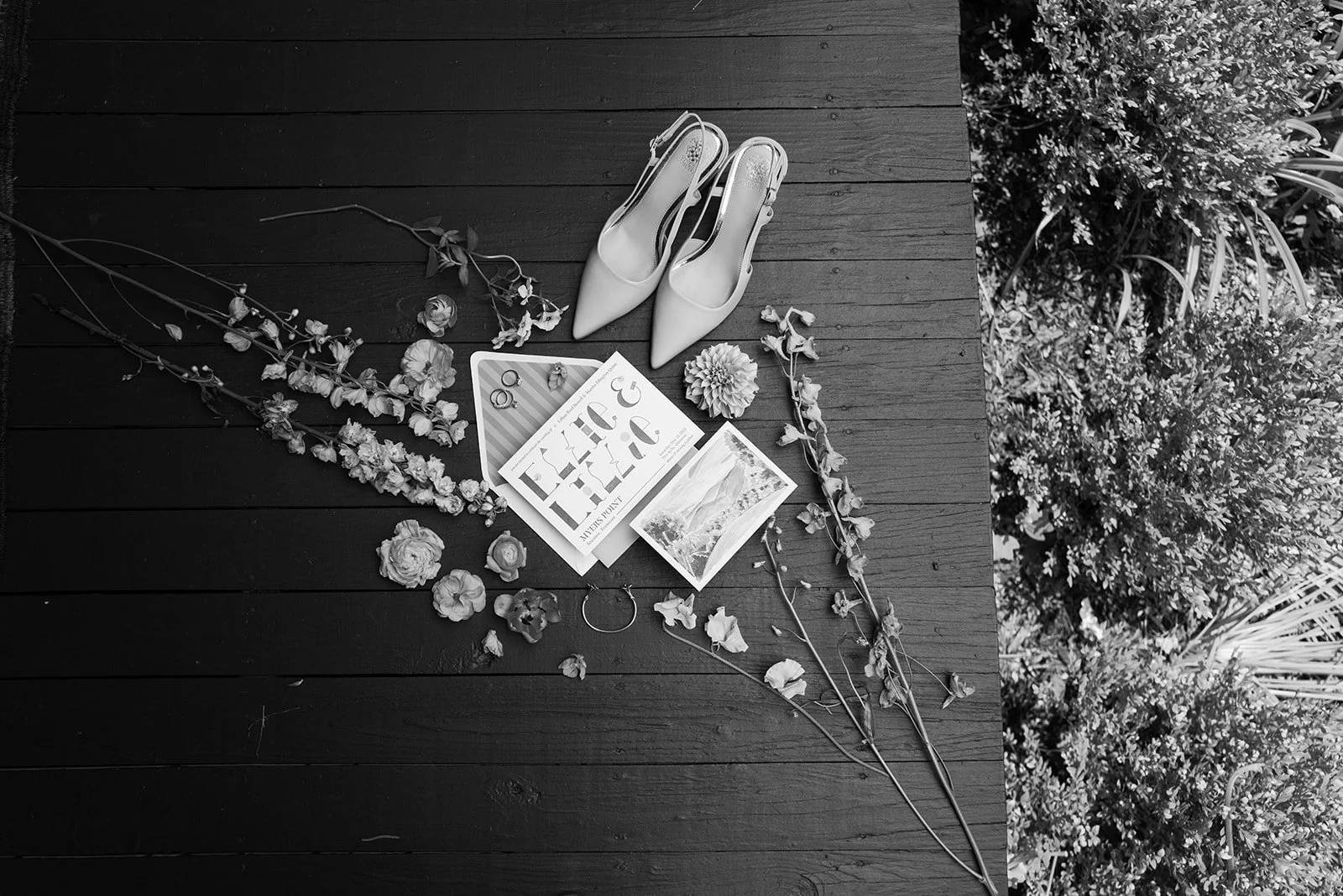 Lillie & Ellie 108.jpg