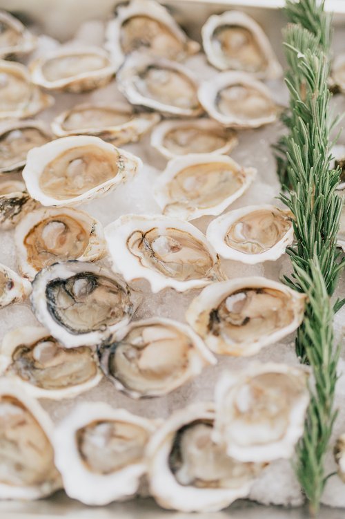 oysters+on+ice+for+wedding+reception+cocktail+hair.jpg
