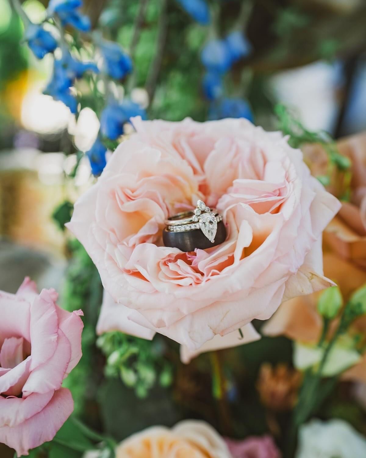 🌺✨ Planning to say &lsquo;I do&rsquo; in fall or winter 2025? 

What a magical journey lies ahead! As we wrap up an incredible spring and summer wedding season, I&rsquo;m buzzing with excitement for the beauty that fall 2025 weddings will bring.

I&