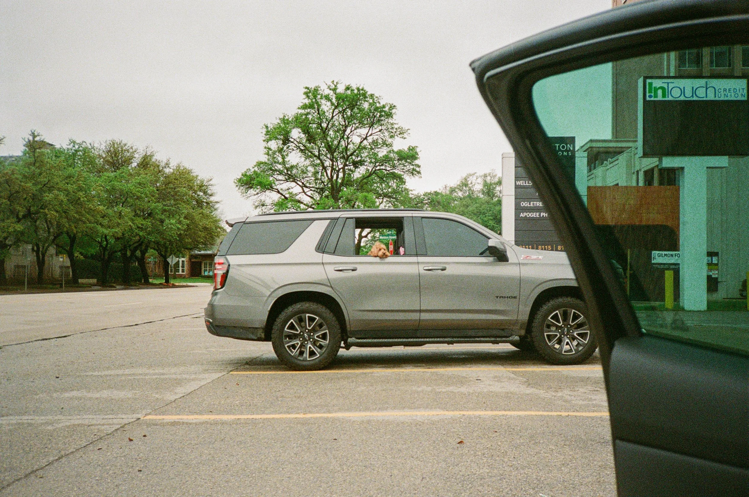 IMG_3029-3.JPG