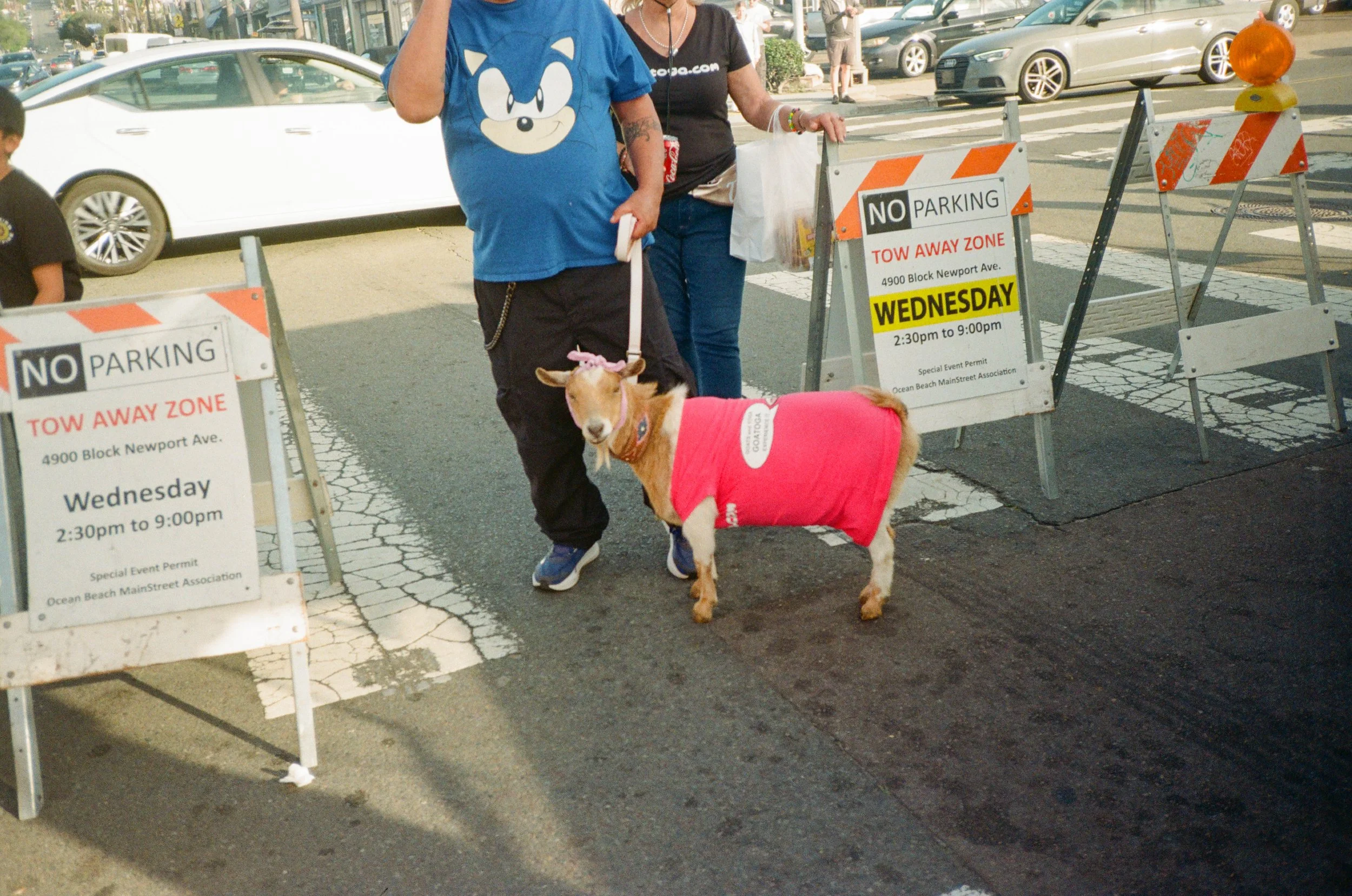 IMG_1839 2.JPG