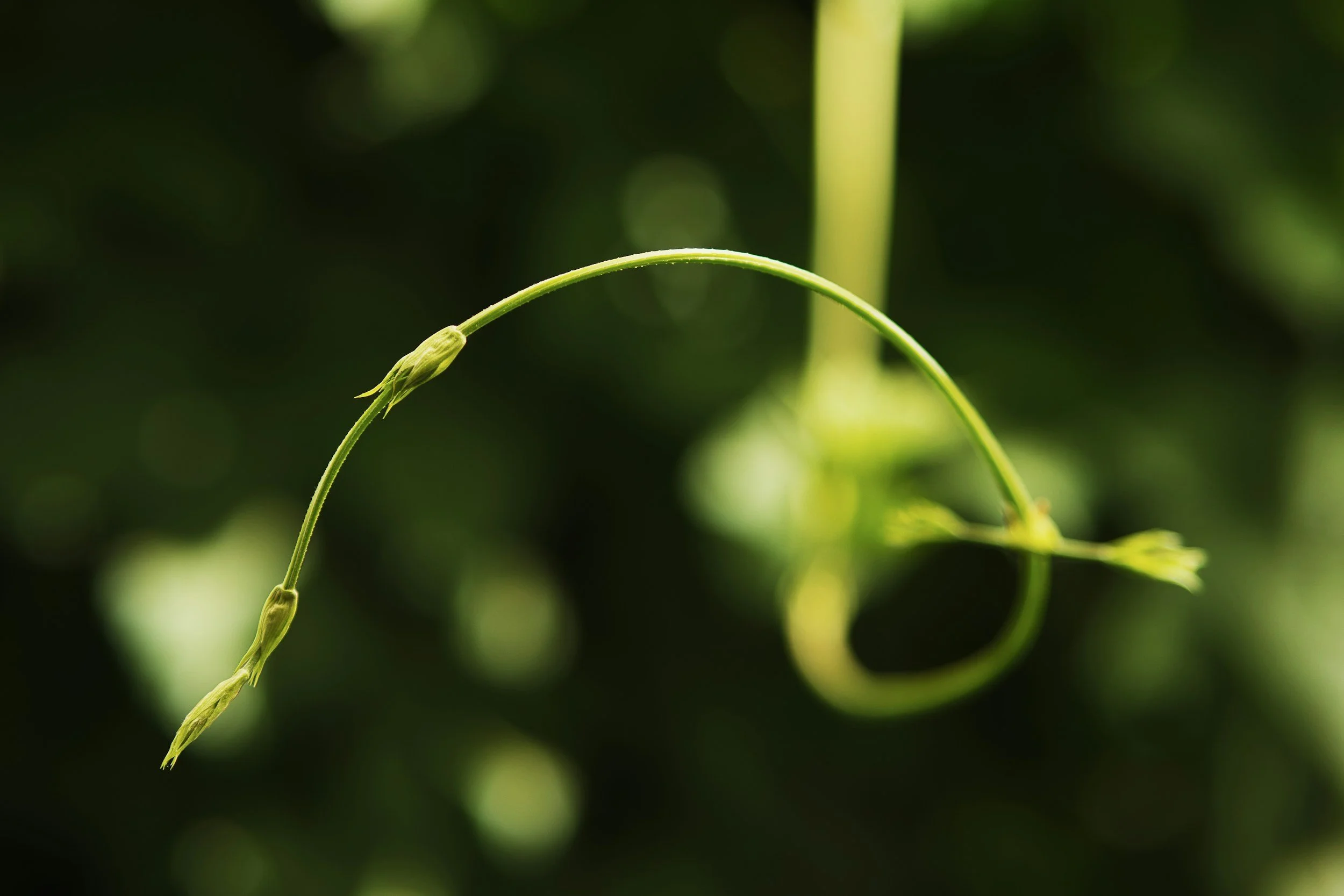 unsplash-image-zJyocfs5byU.jpg