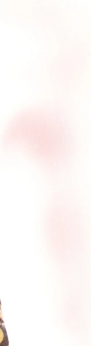 Box 10_20250808_0044.jpg