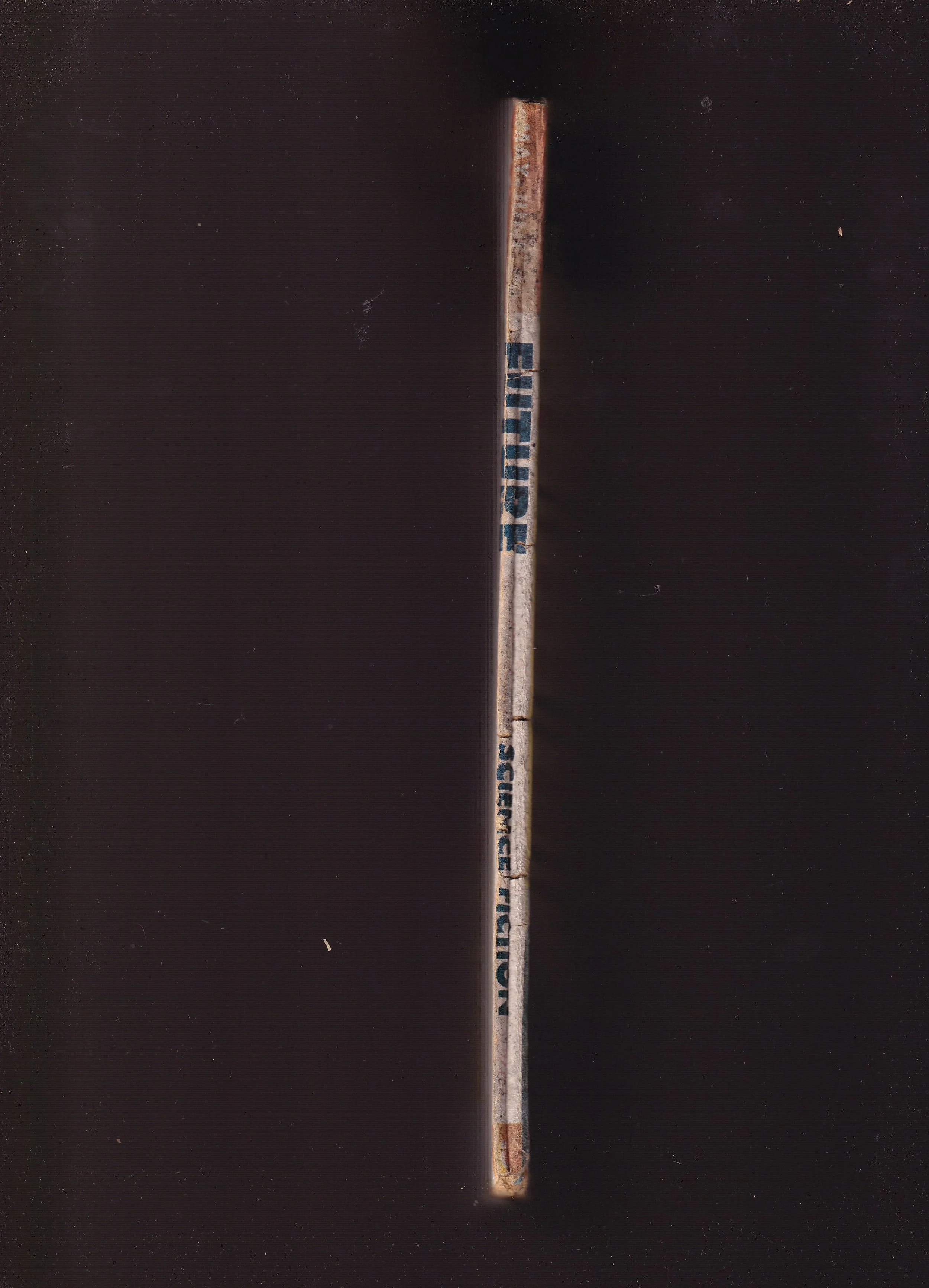 TJ31_20250813_0131.jpg
