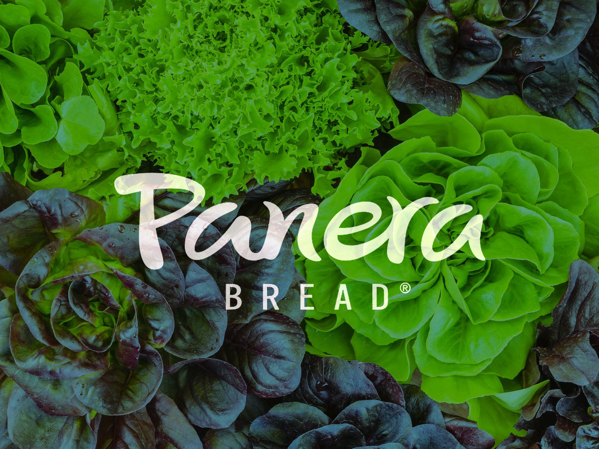 PANERA GIFT CARDS