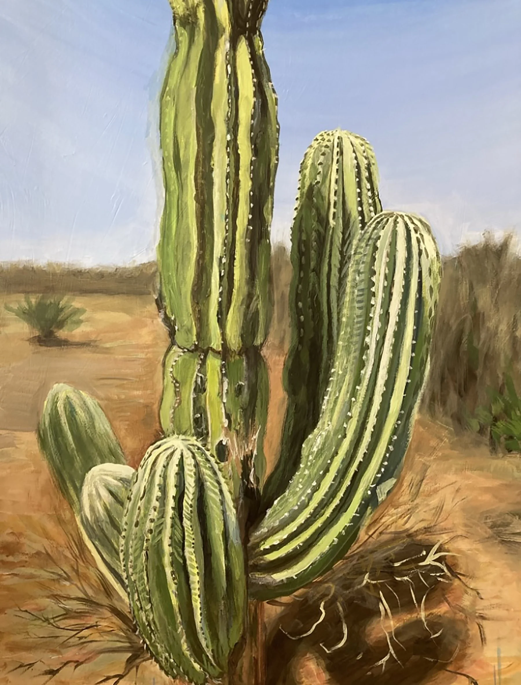 Cactus.jpg