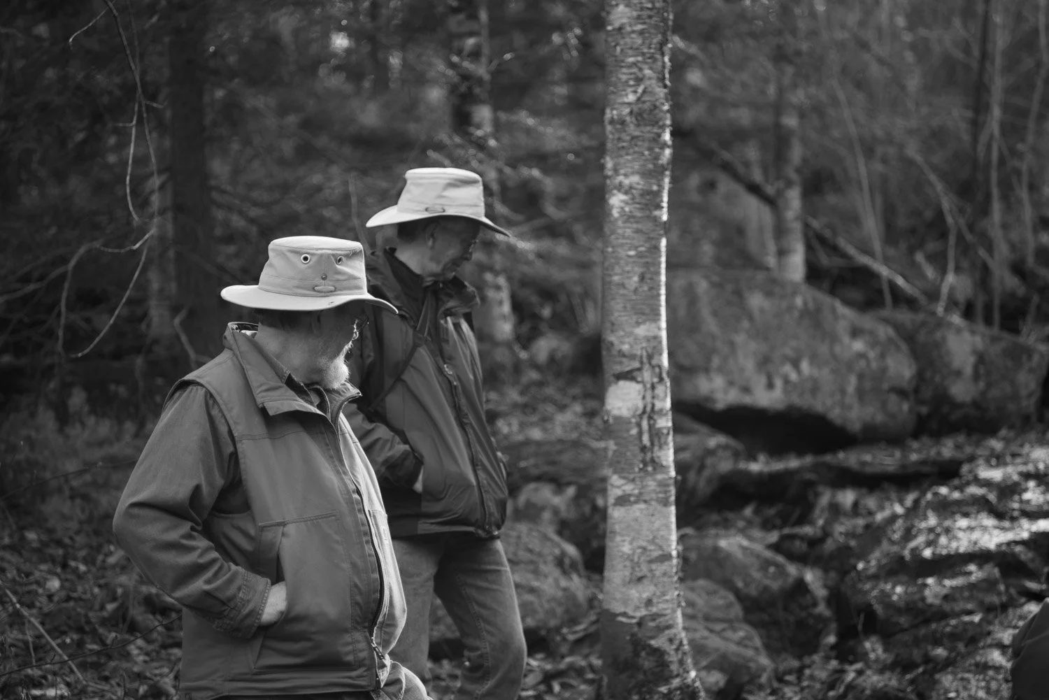 20171104-roundpond-00080