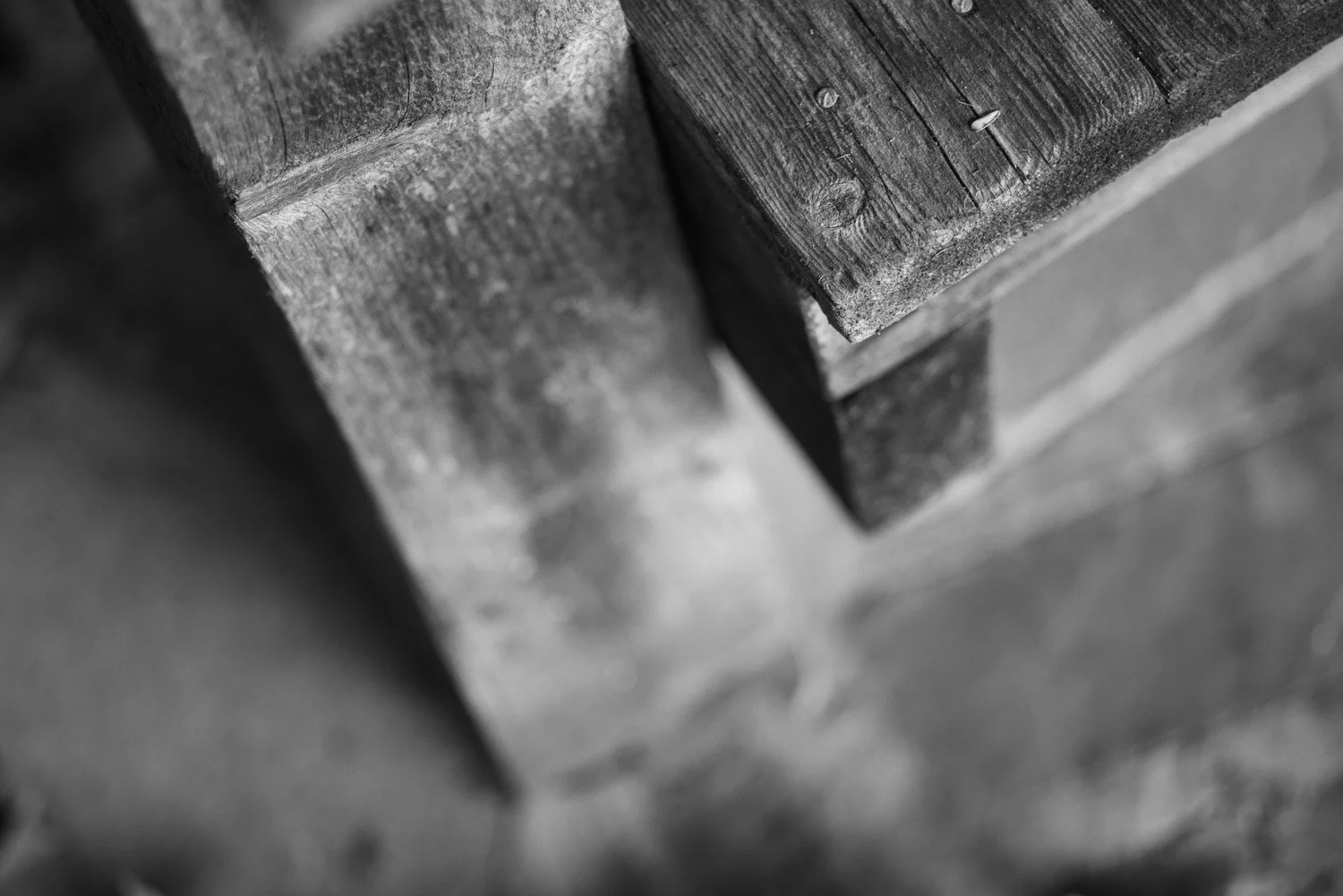20181106-random-00003-sqslarge.jpg
