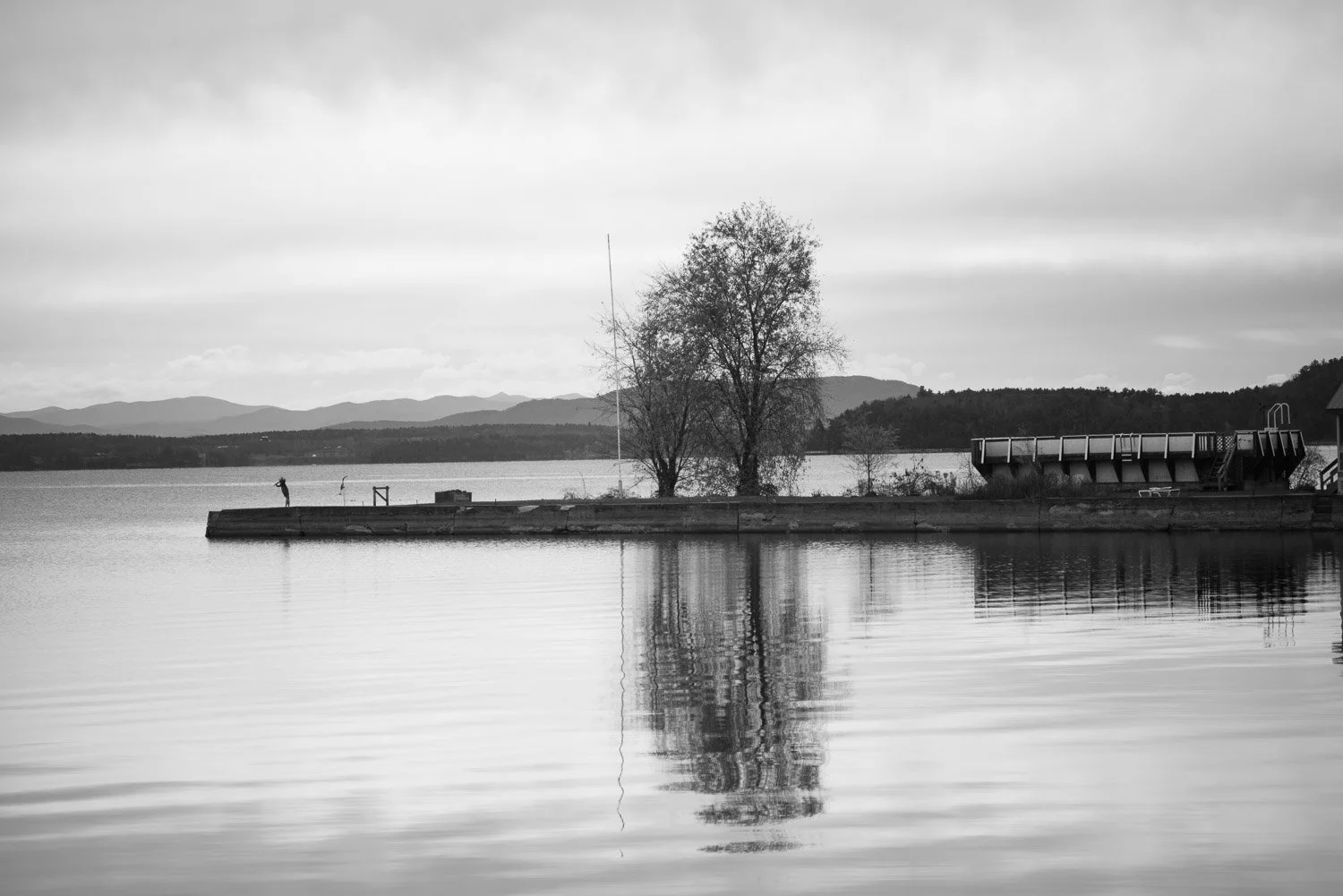 20181109-random-00059-sqslarge.jpg