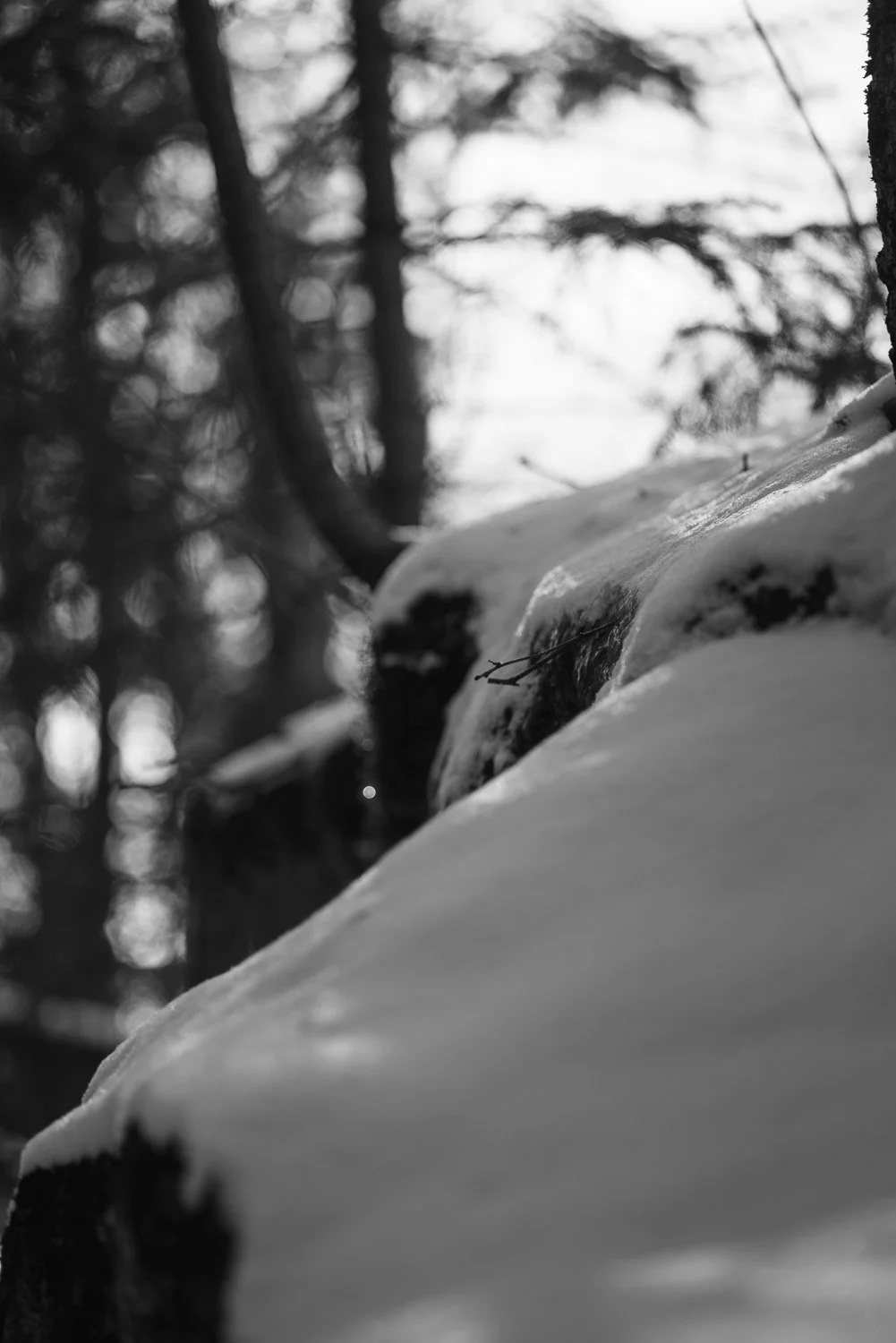 20181111-random-00110-sqslarge.jpg