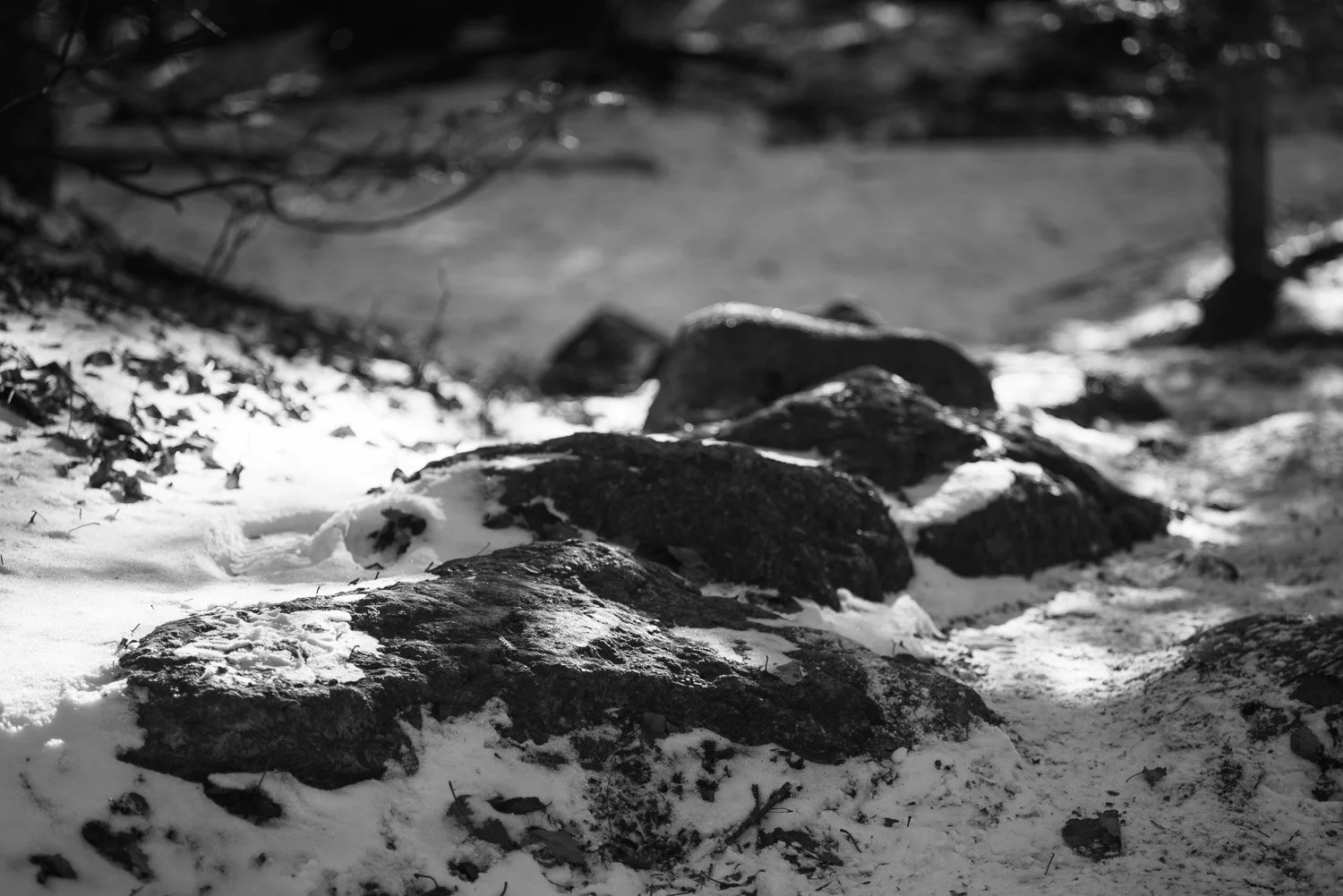 20181111-random-00119-sqslarge.jpg