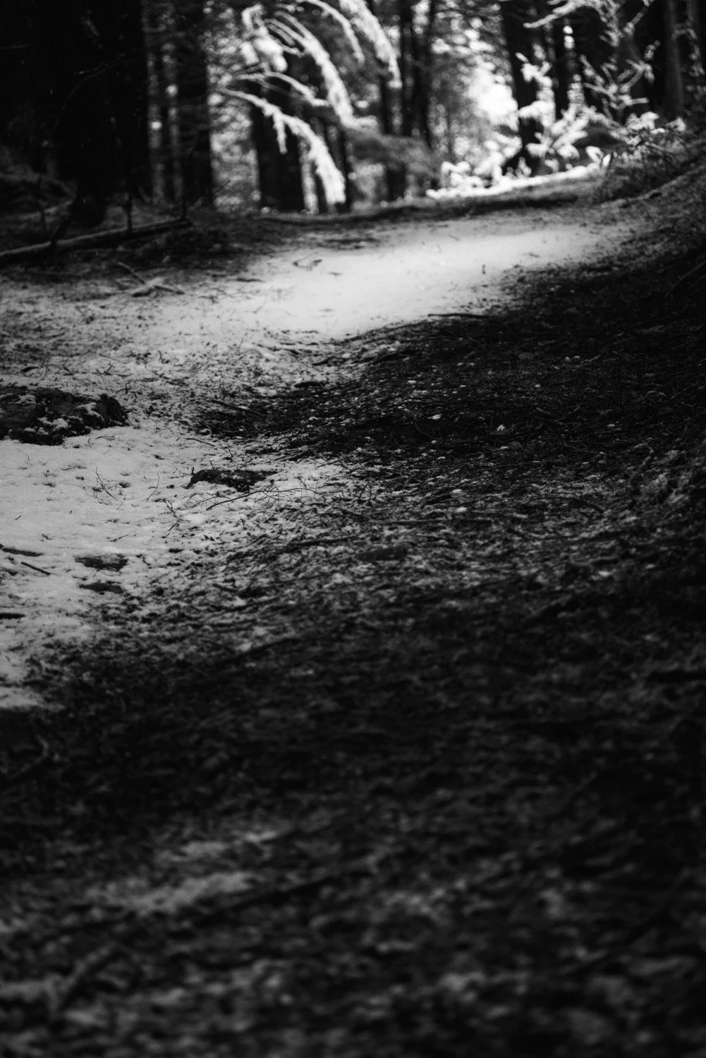 20181113-random-00008-sqslarge.jpg