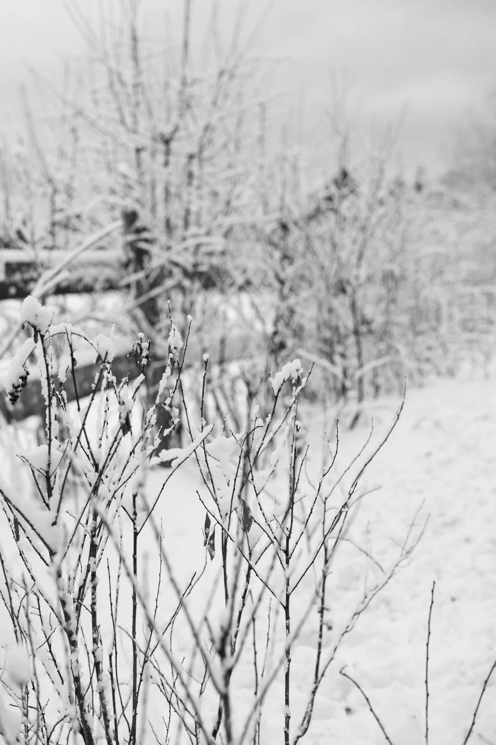 20190109-random-00035-sqslarge.jpg