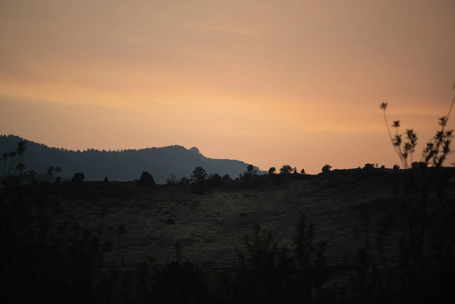 20210908-trip-00149-sqslarge.jpg
