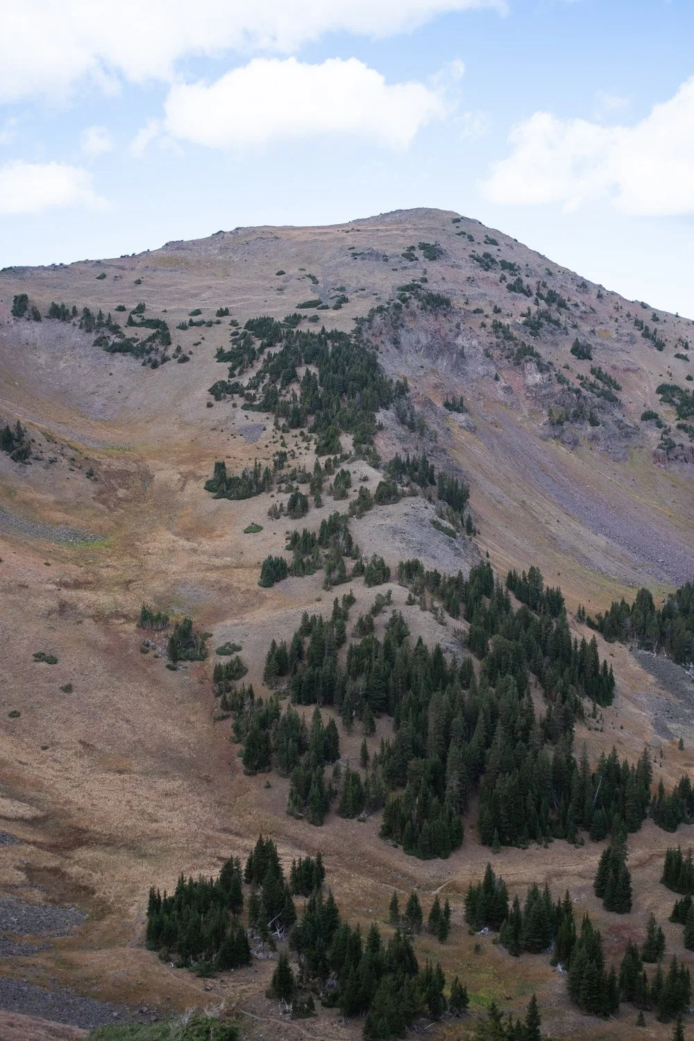 20210911-trip-00002-sqslarge.jpg