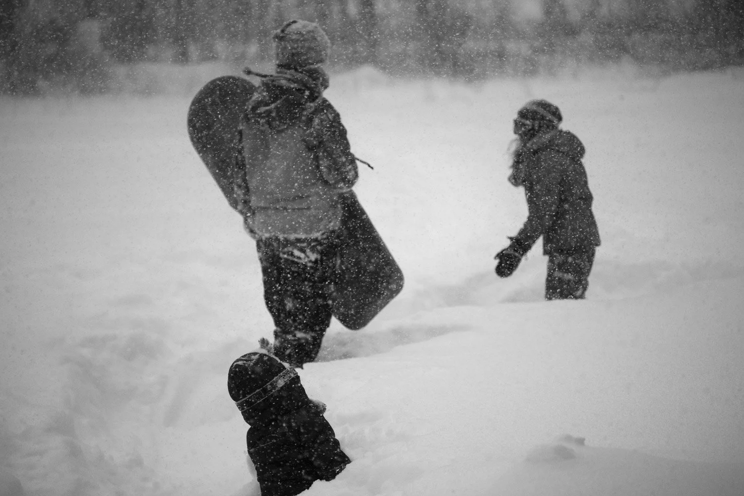 Snowstorm (March 2017)