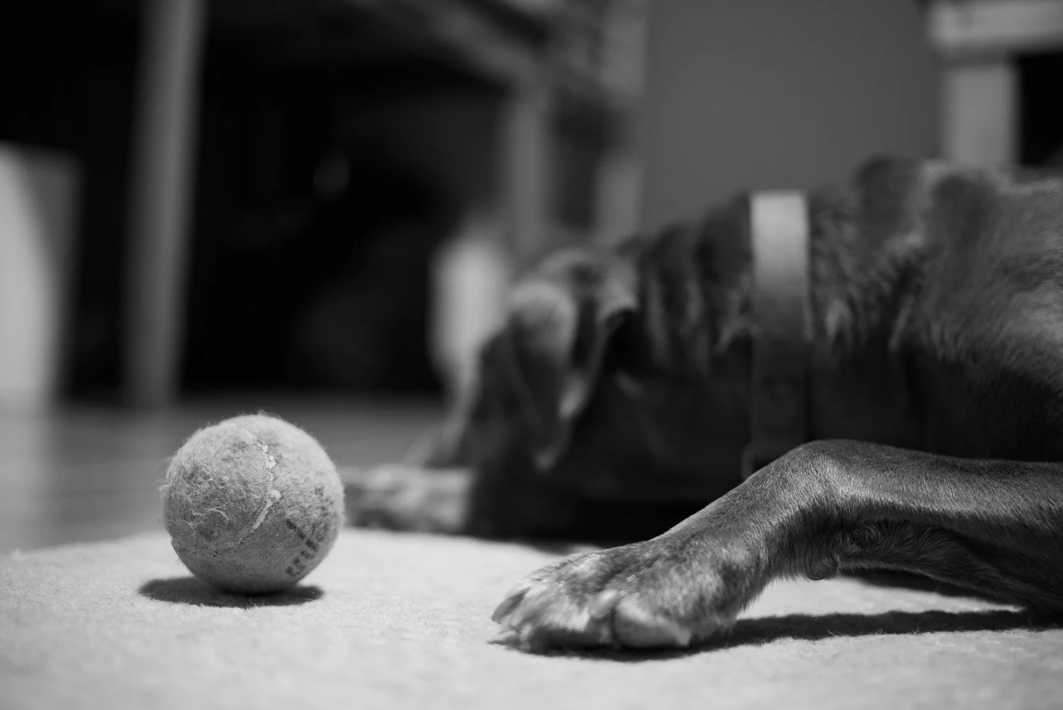 20180318-random-00004