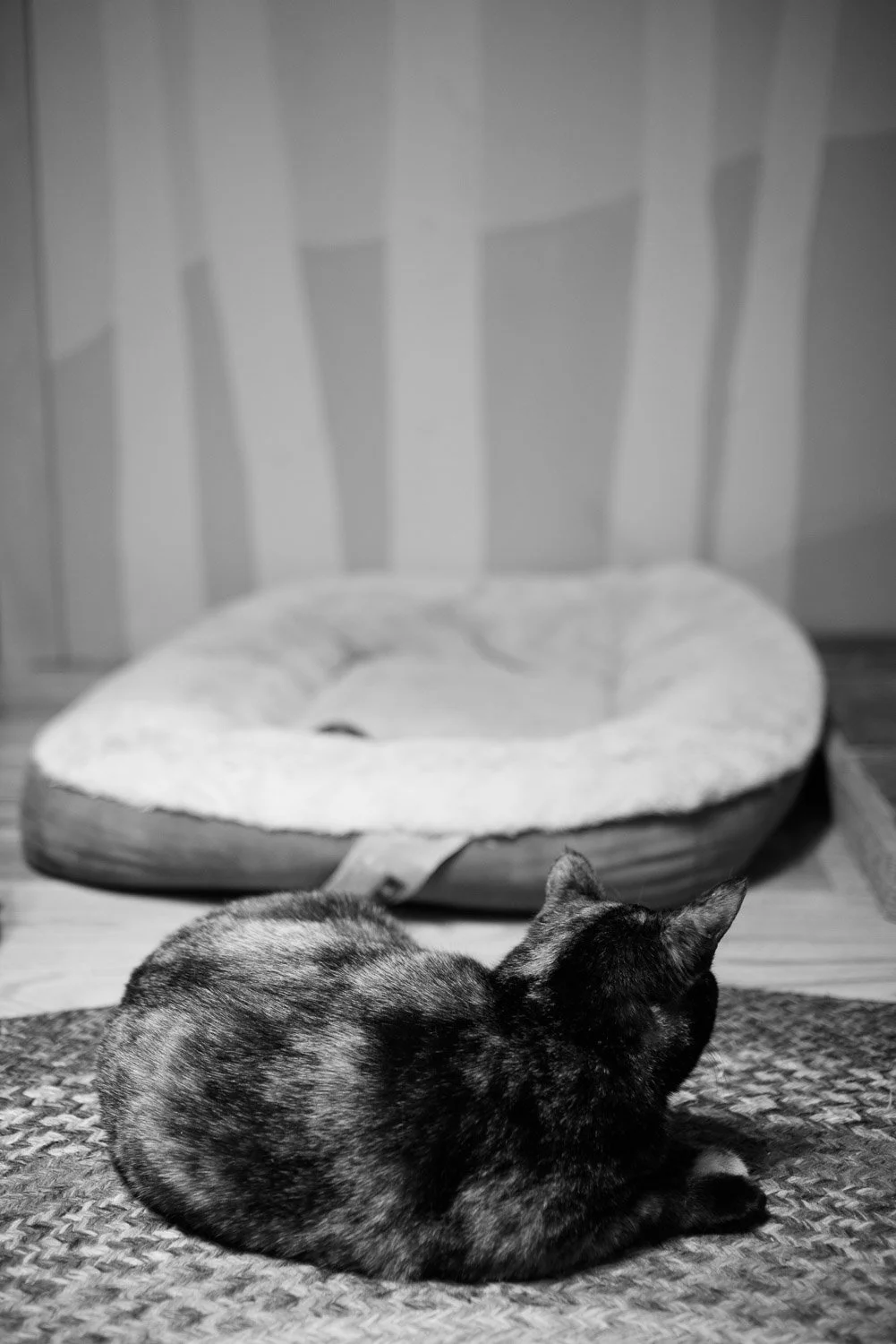 20180202-random-00148