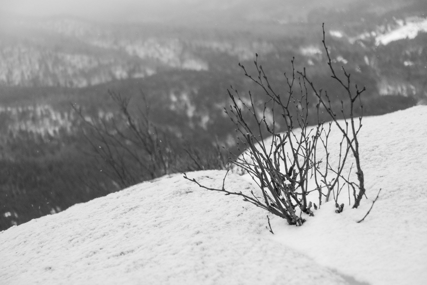 20160116-random-00090