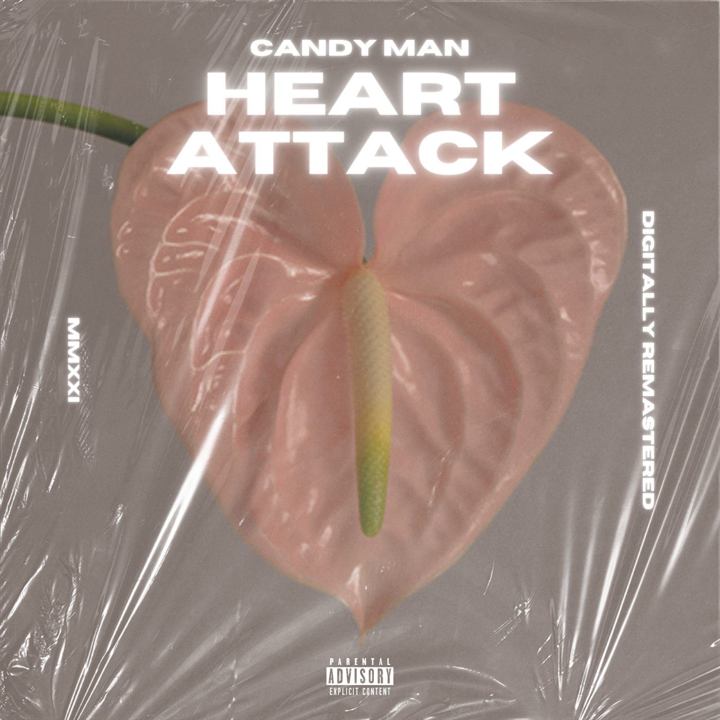 Heart Attack (Single)