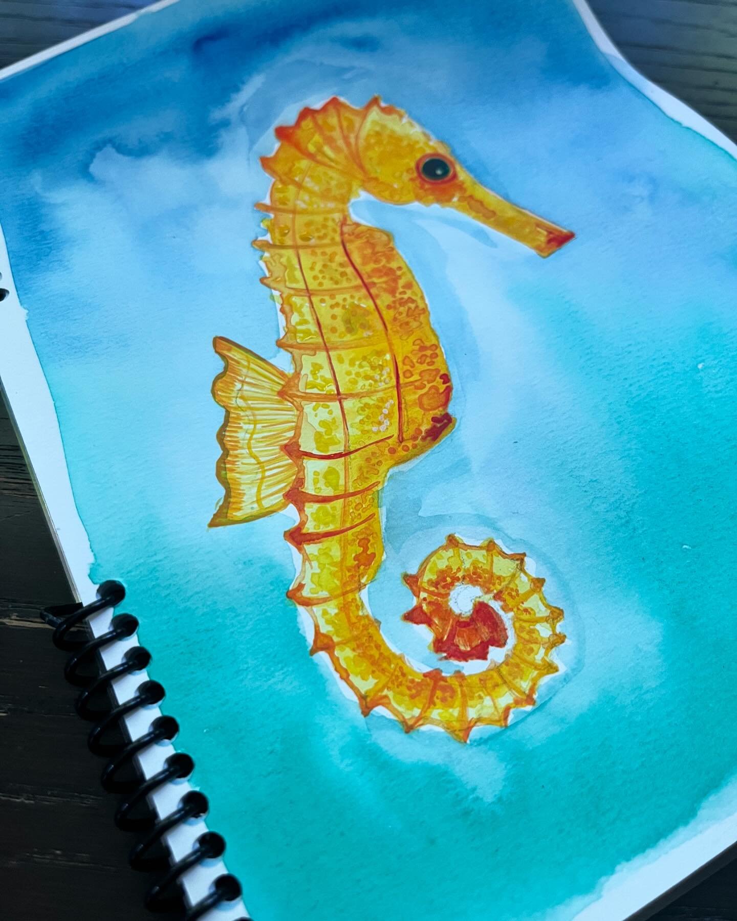 When I started scuba diving many years ago now, I really wanted to see a shark, turtle, and sea horse. Guess what did I see first? A seahorse! How cool are these creatures! Unlike horses, they are teeny-tiny and hard to spot as they can camouflage. A