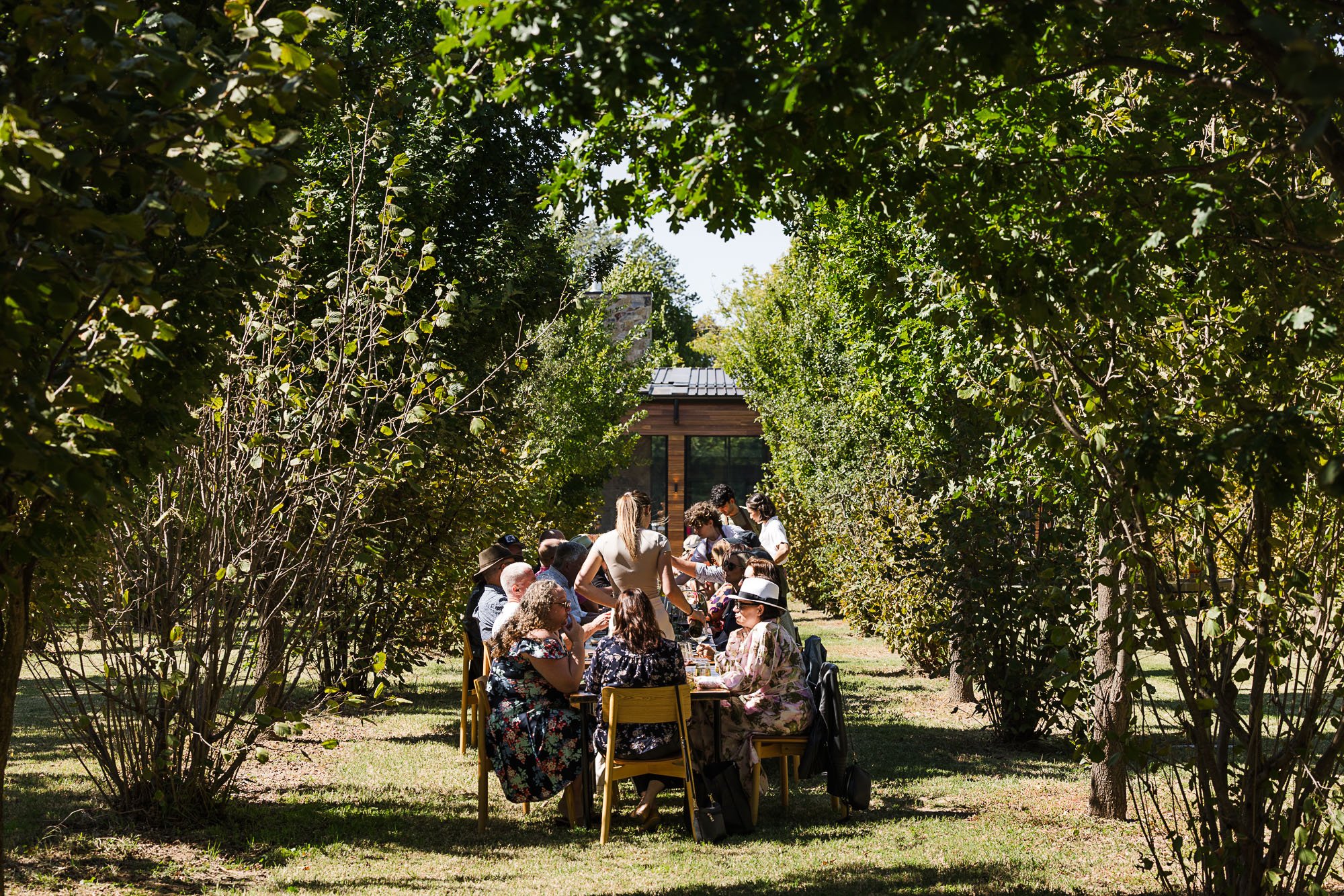Luncheon in the Leaves