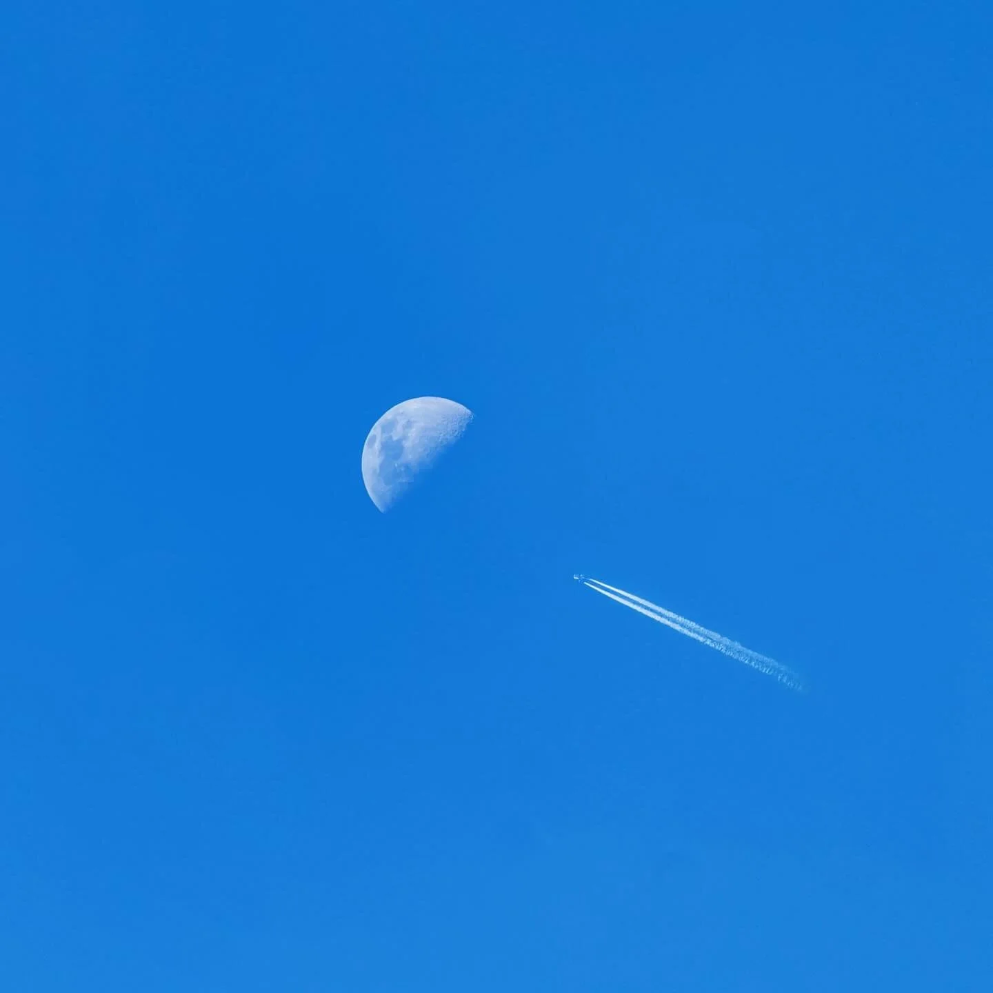 I had my final shoot for the year last night with a gorgeous extended family.  Cant believe another year has drifted by and I kind of feel a sense of sadness with the constant stream of bad news happening in the world and also right here in Australia