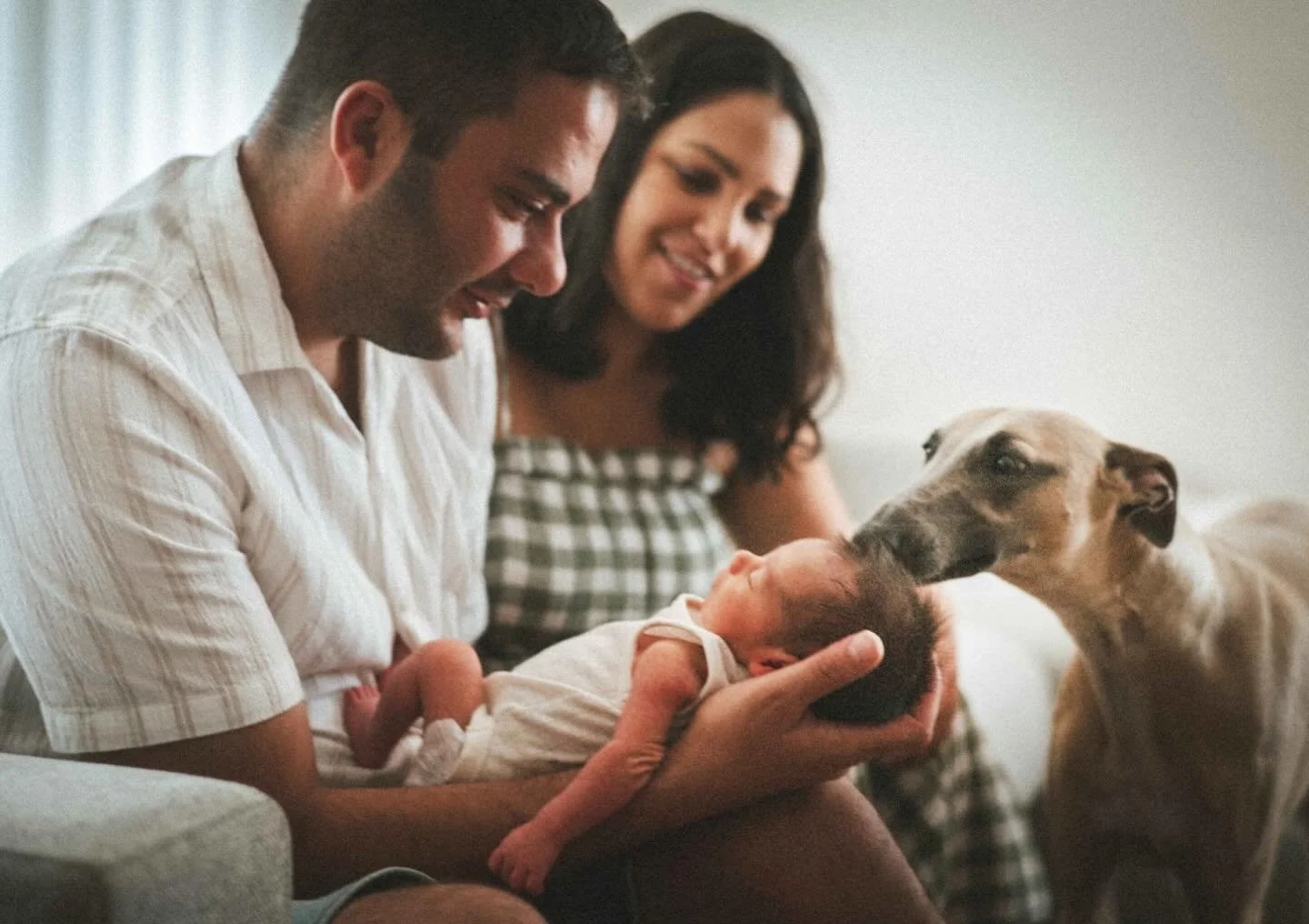 Carl the pup making sure he&rsquo;s still number one&hellip;well equal first at least 😉❤️❤️❤️

@tiziamayphotography @deaniebeane @adem.2491